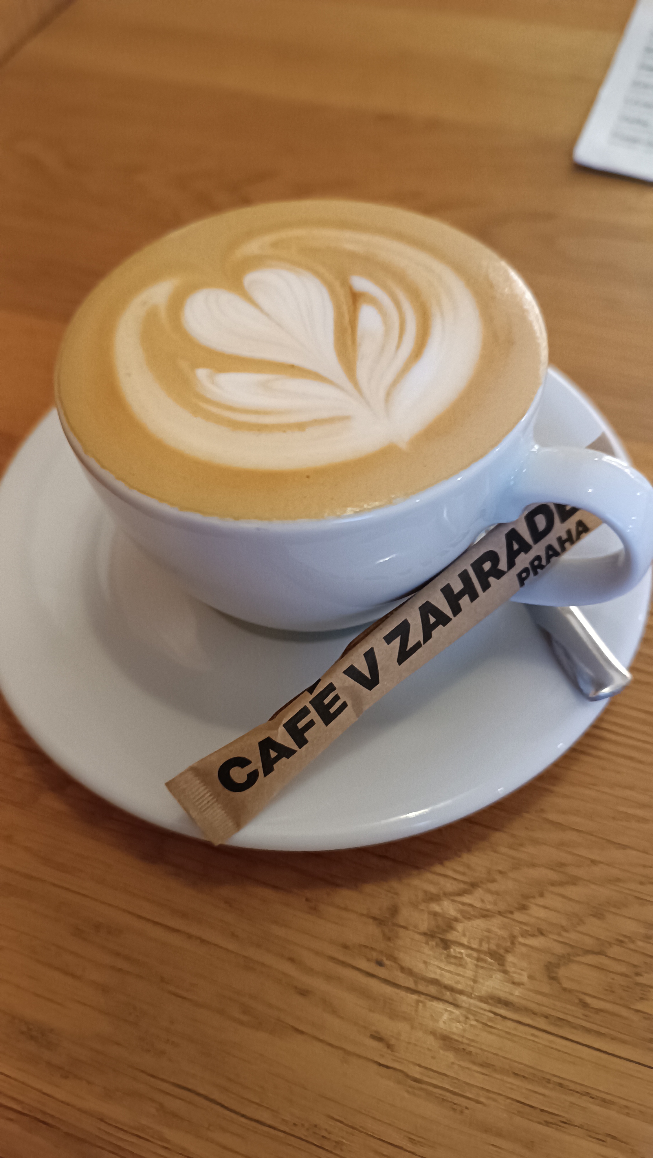 Café v zahradě foto 5
