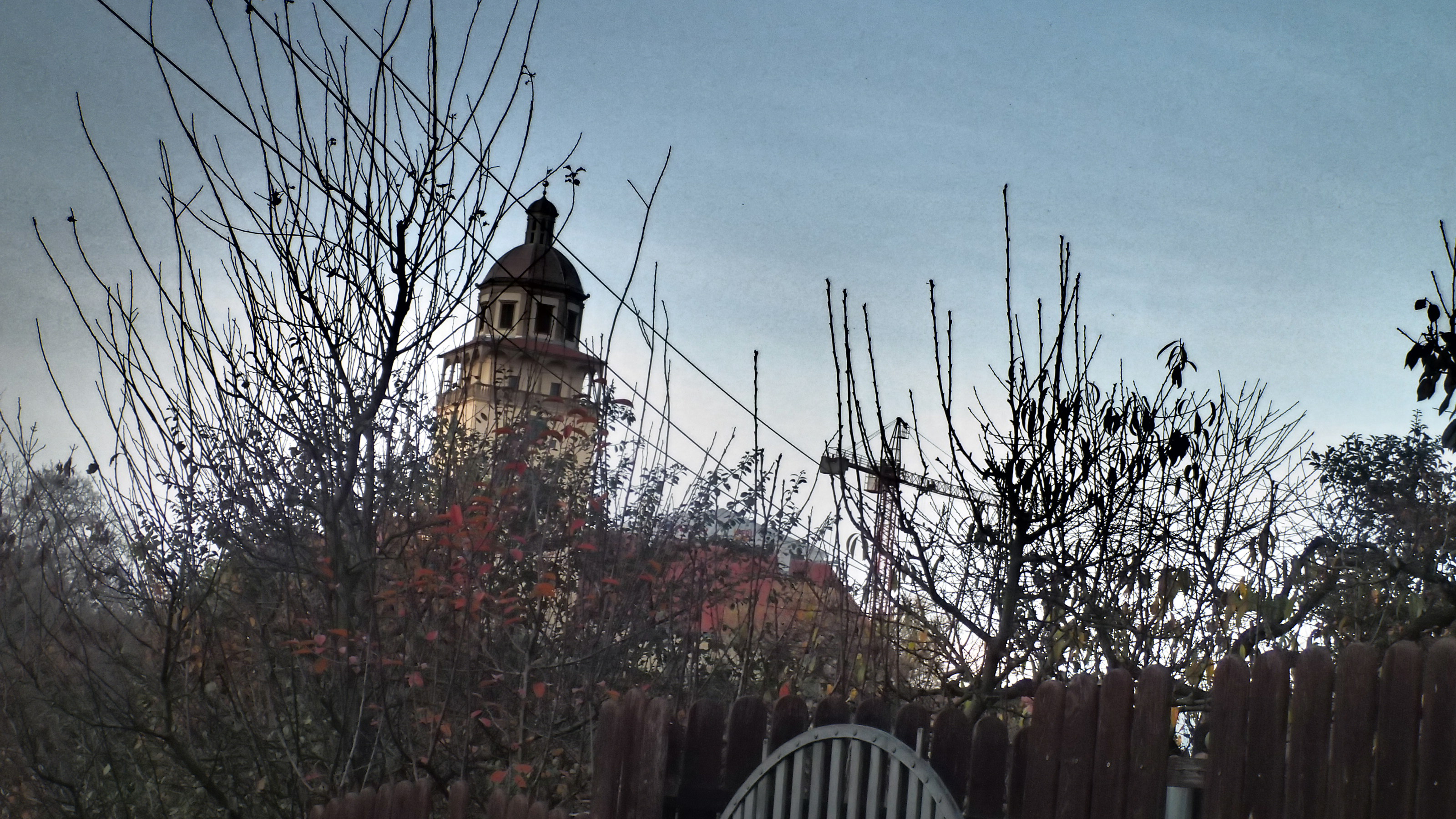 Johnny Coffee - kavárna a pražírna kávy foto 3