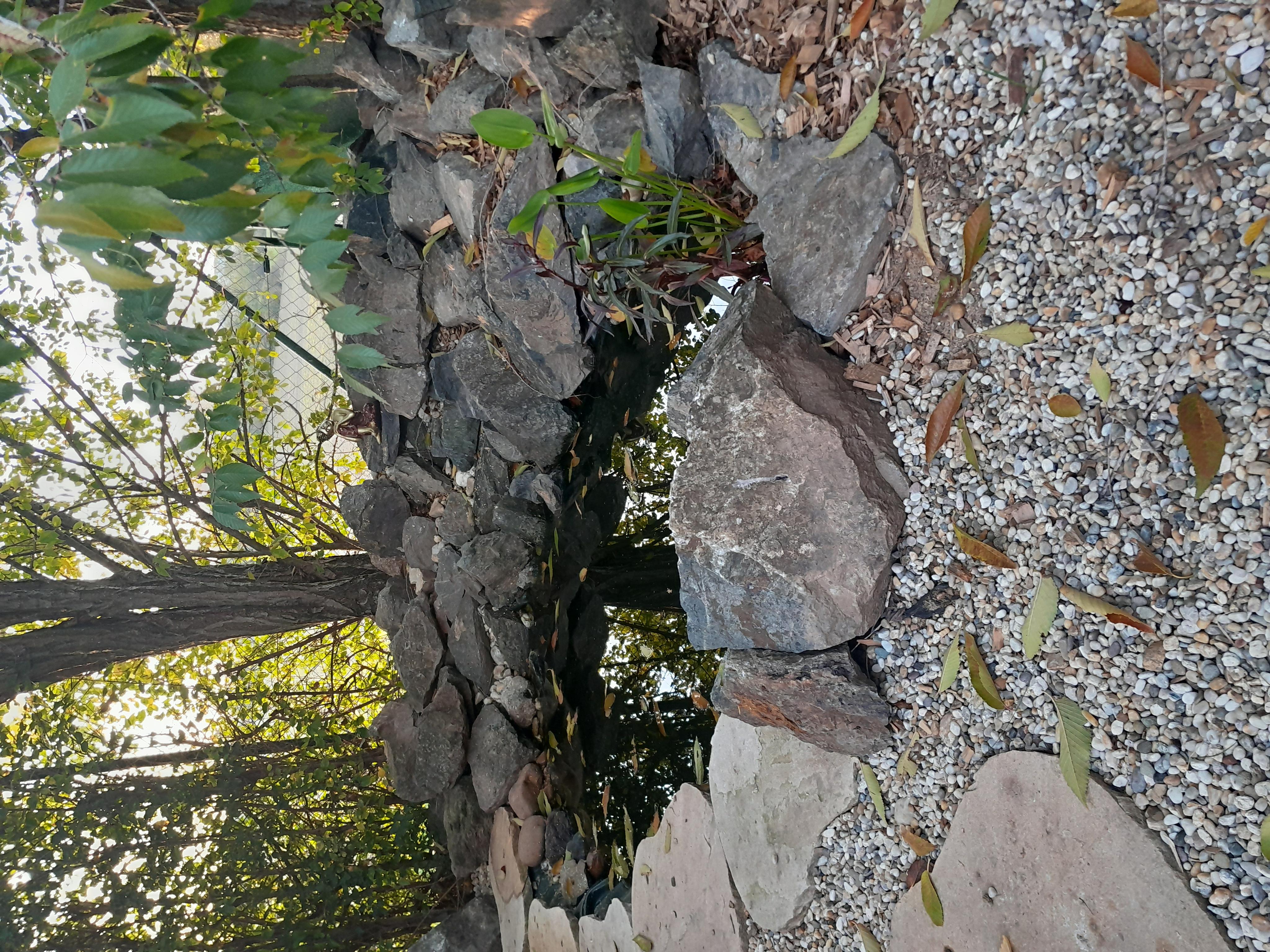 Údržba zahrad Jakub Jacko foto 5