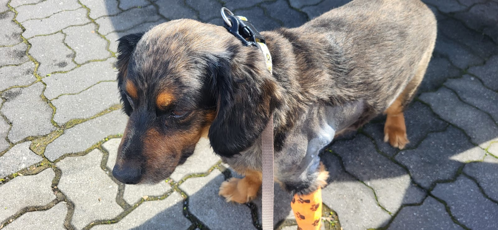 Veterinární ordinace Vet-Kučera s.r.o. foto 1
