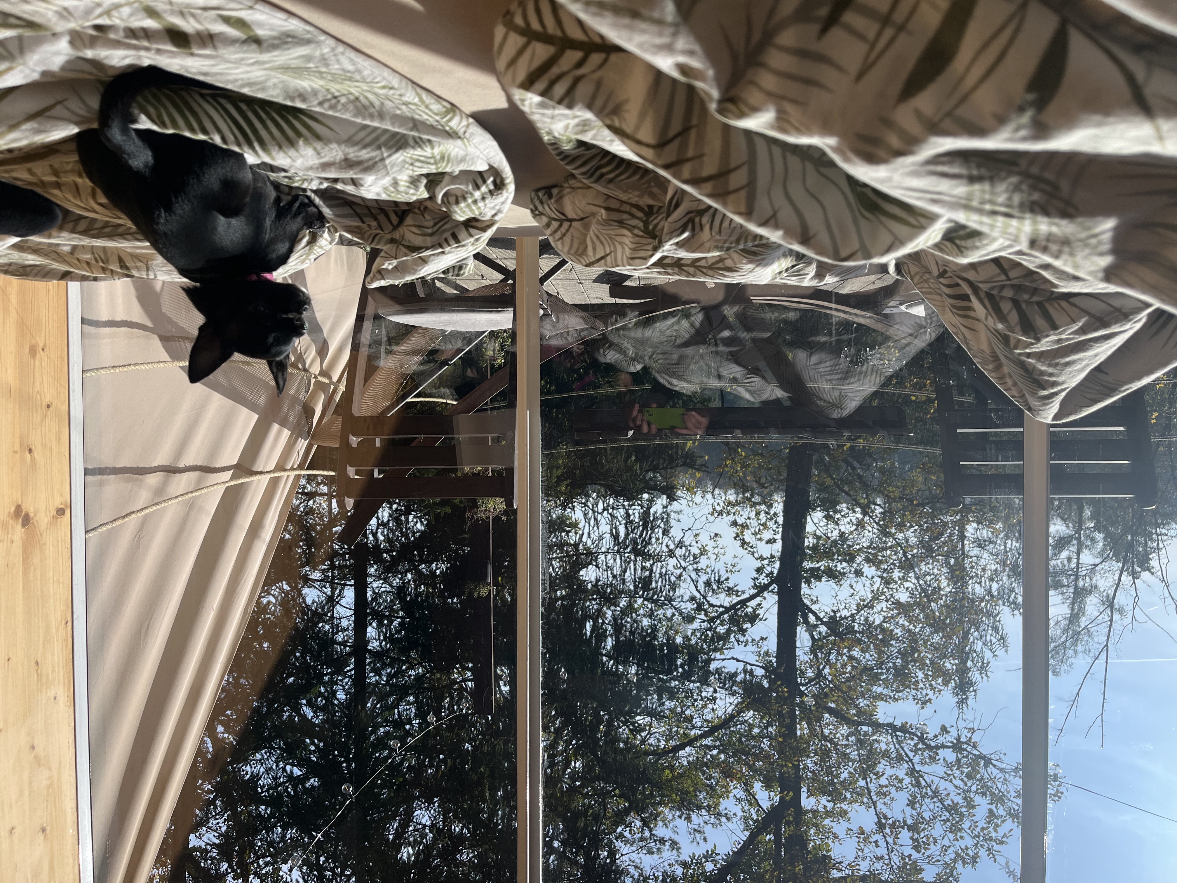 Tinyhouse Veranda foto 1