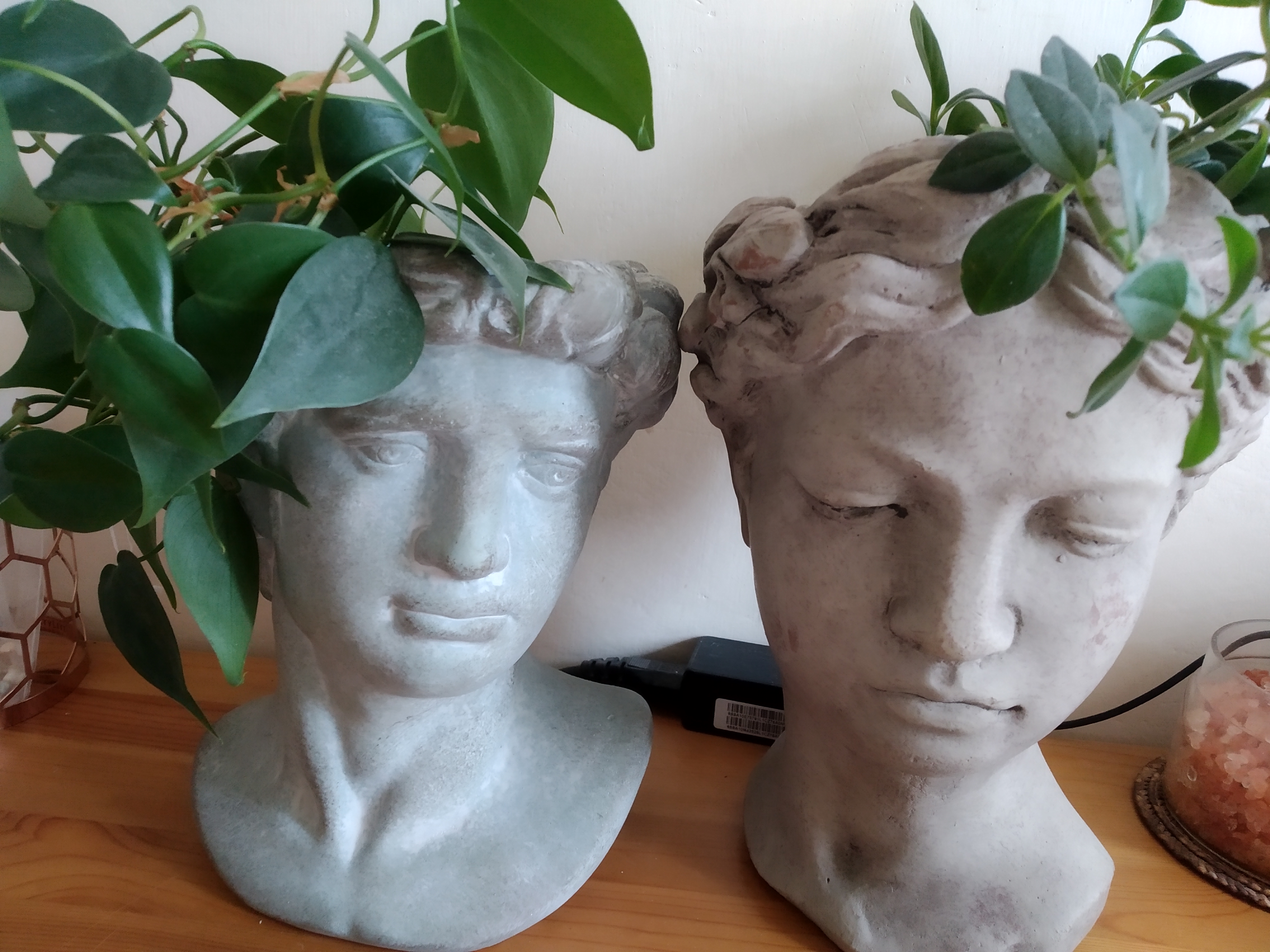 Květinářství Flora Agnese foto 6