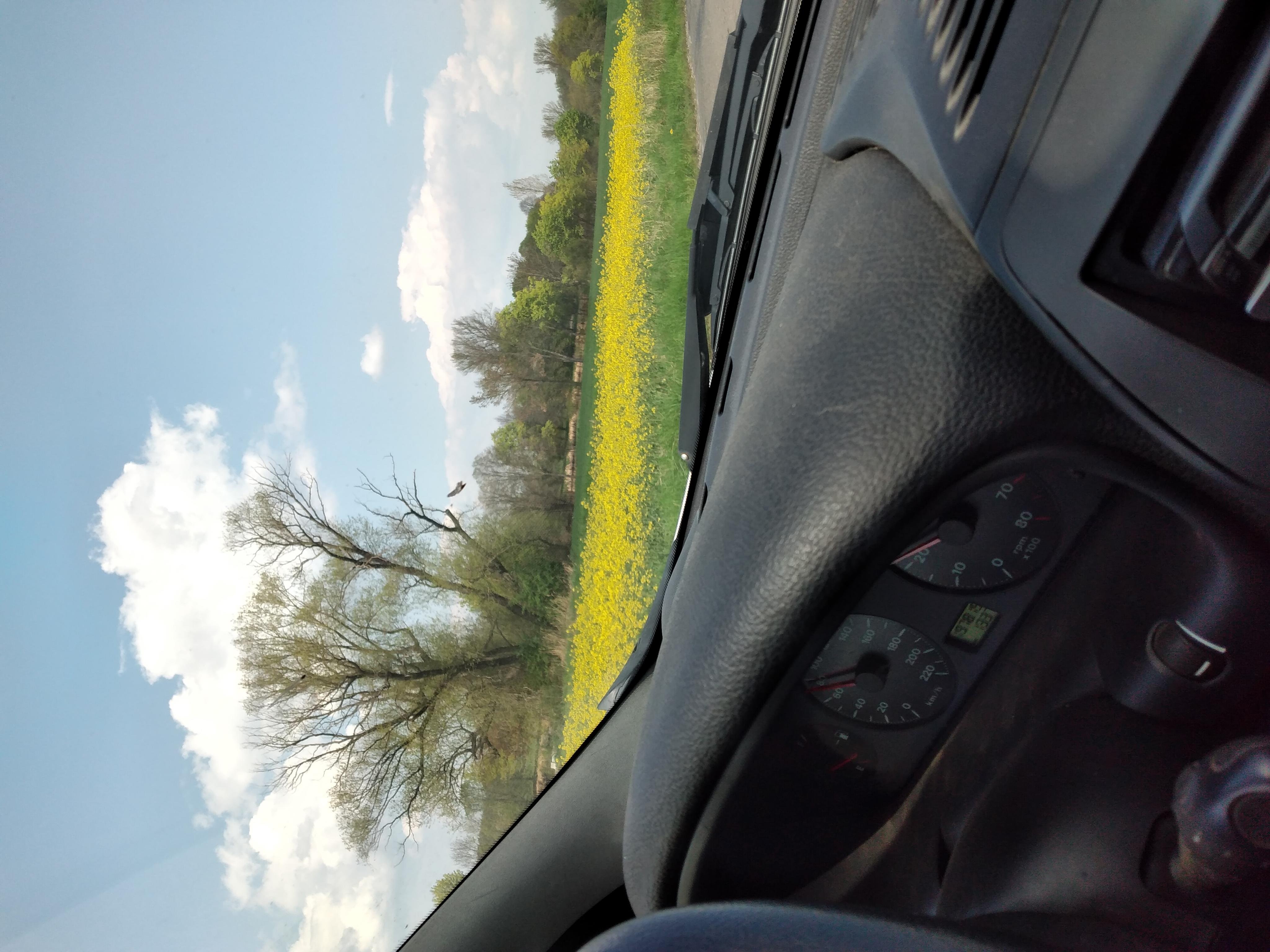 Pillow pojišťovna foto 4