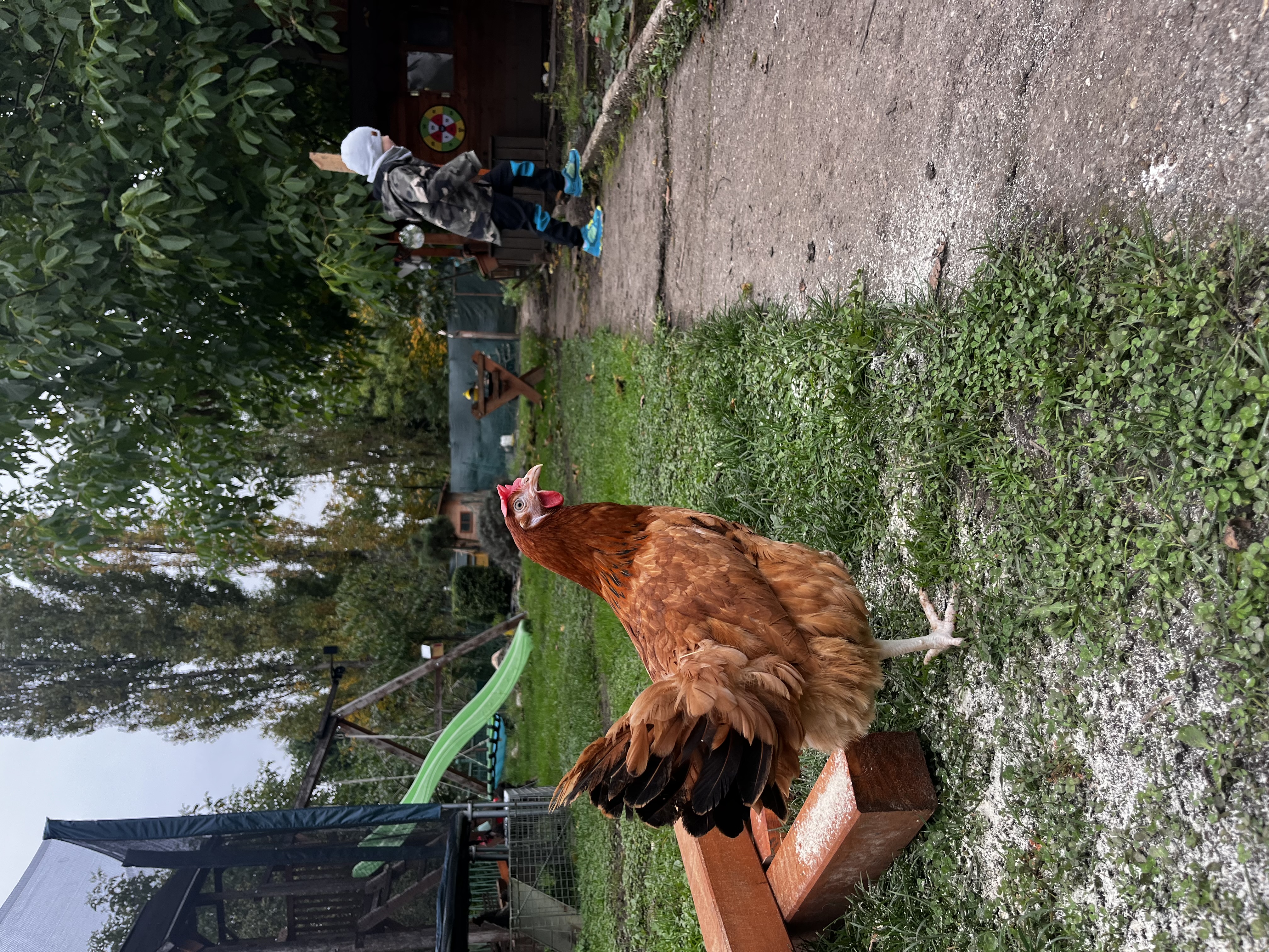 Červený Hrádek foto 4