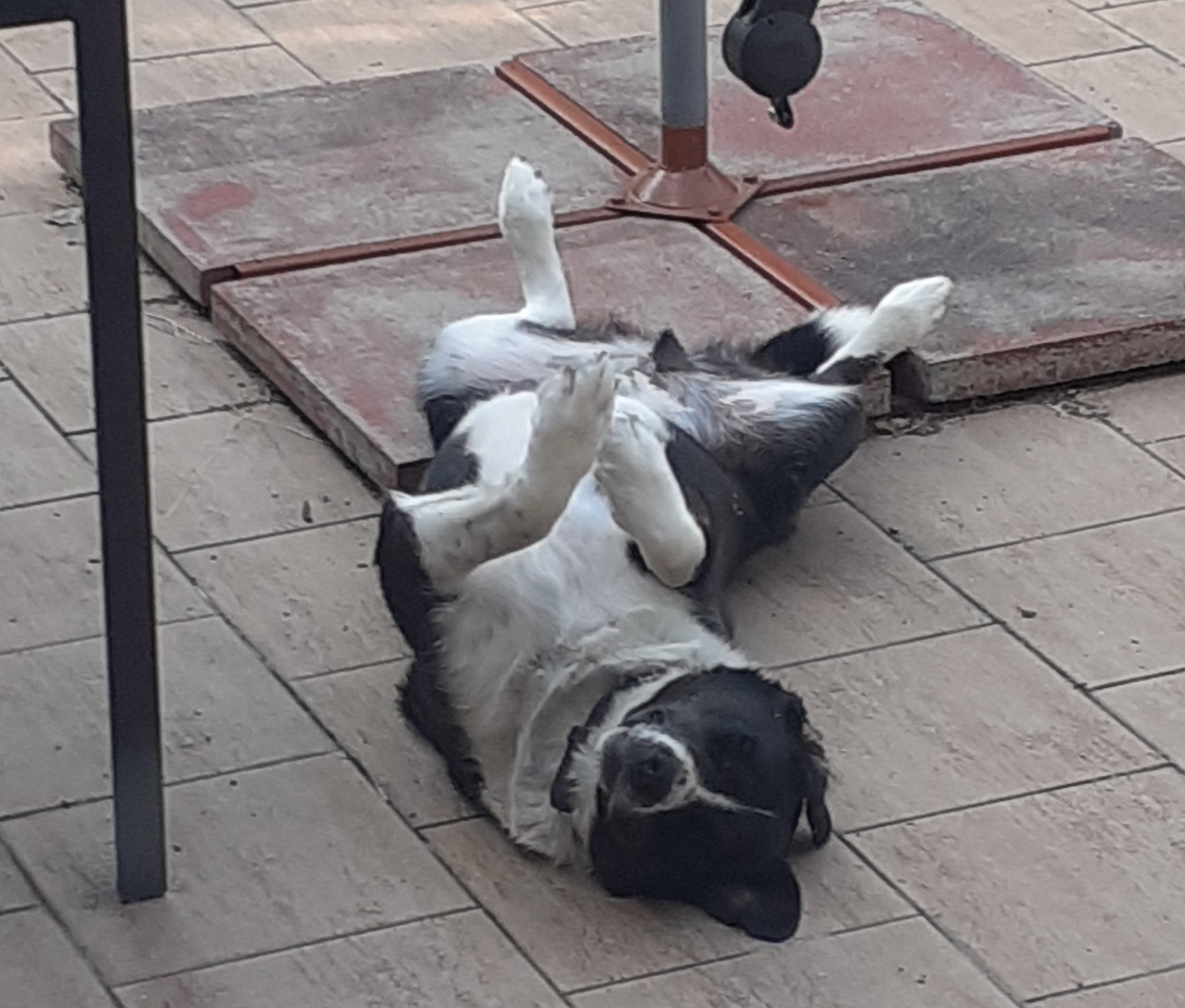 Nábytková banka Praha foto 1