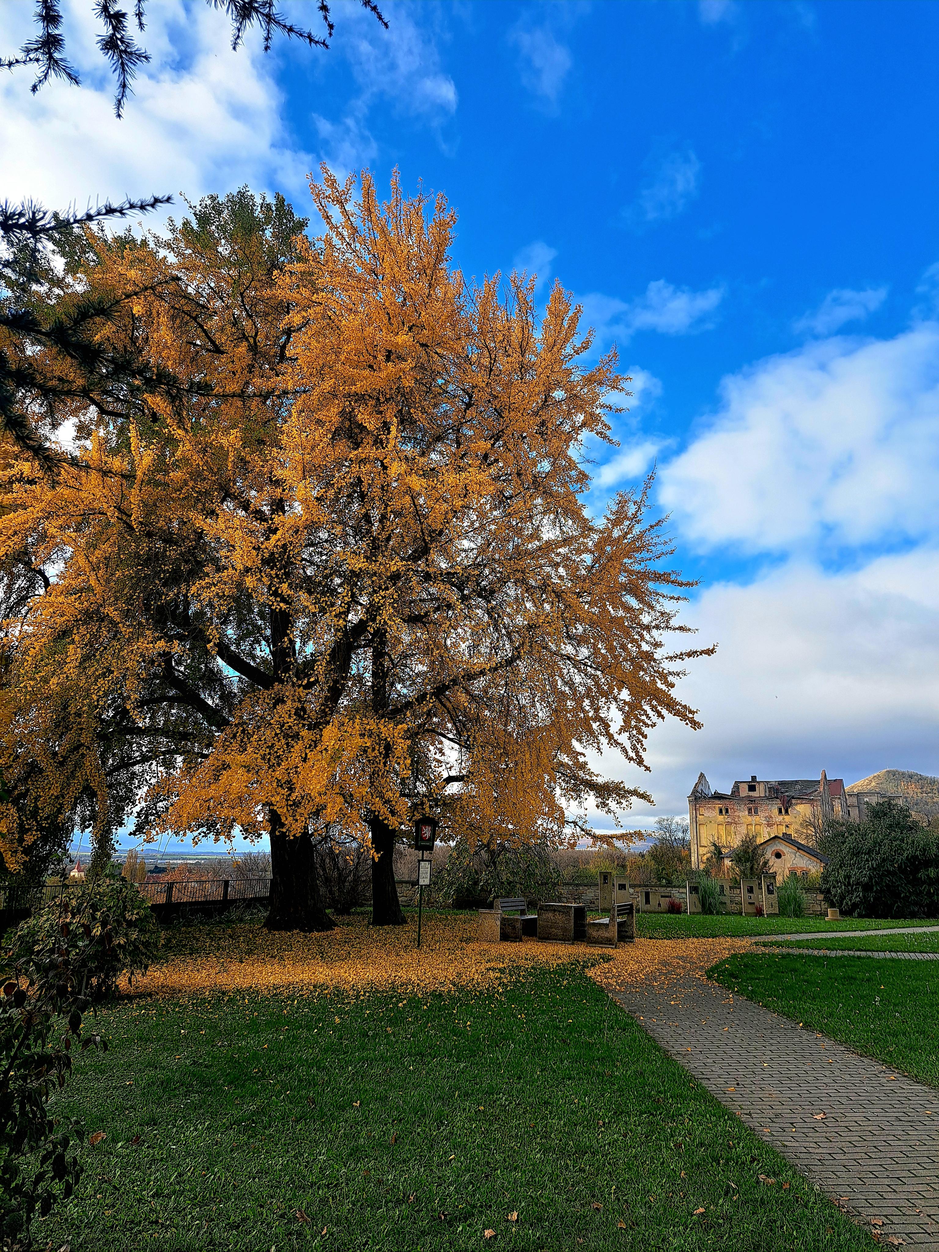 Hospic sv. Štěpána, občanské sdružení foto 4
