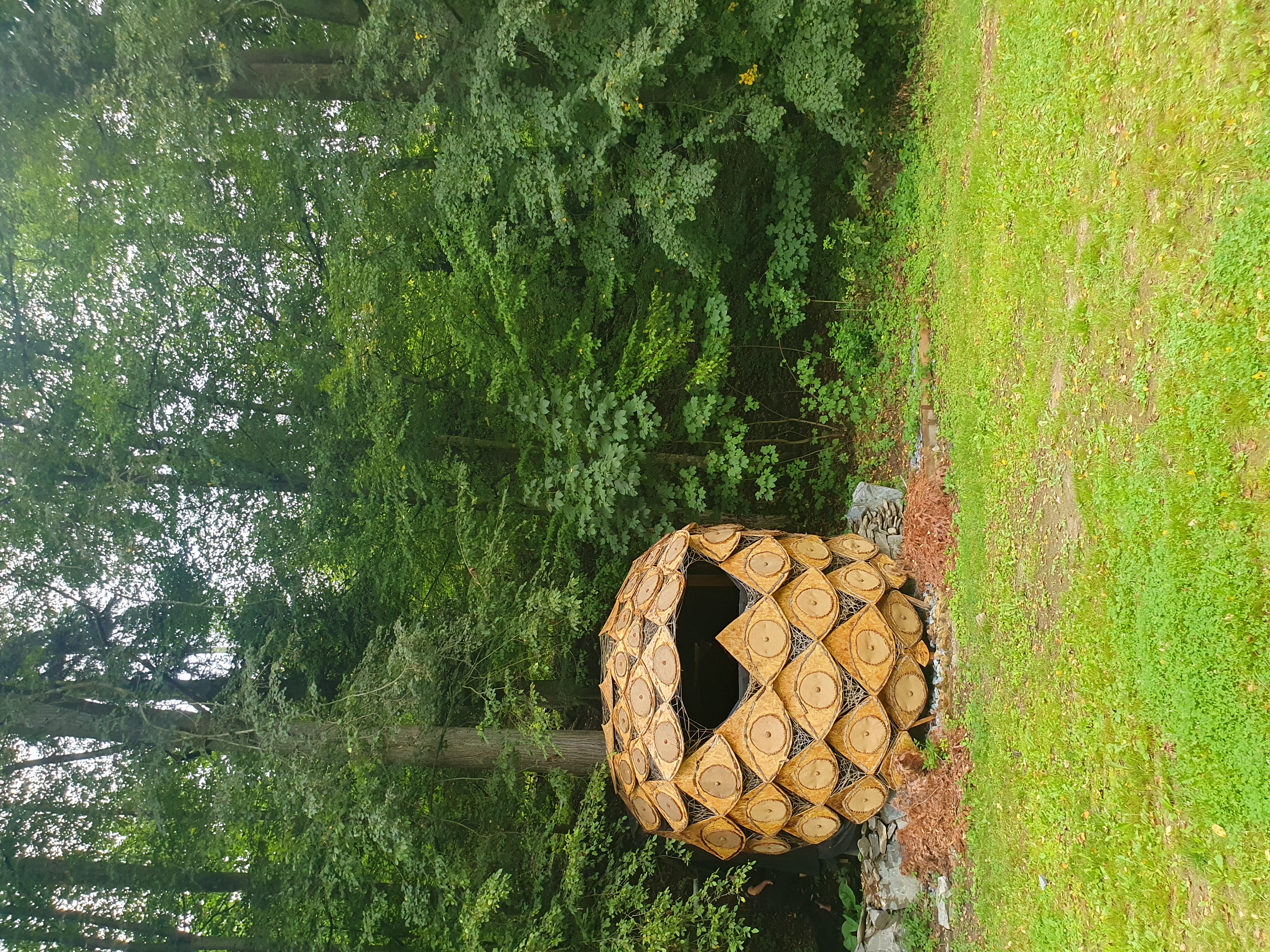 Hadinka foto 3