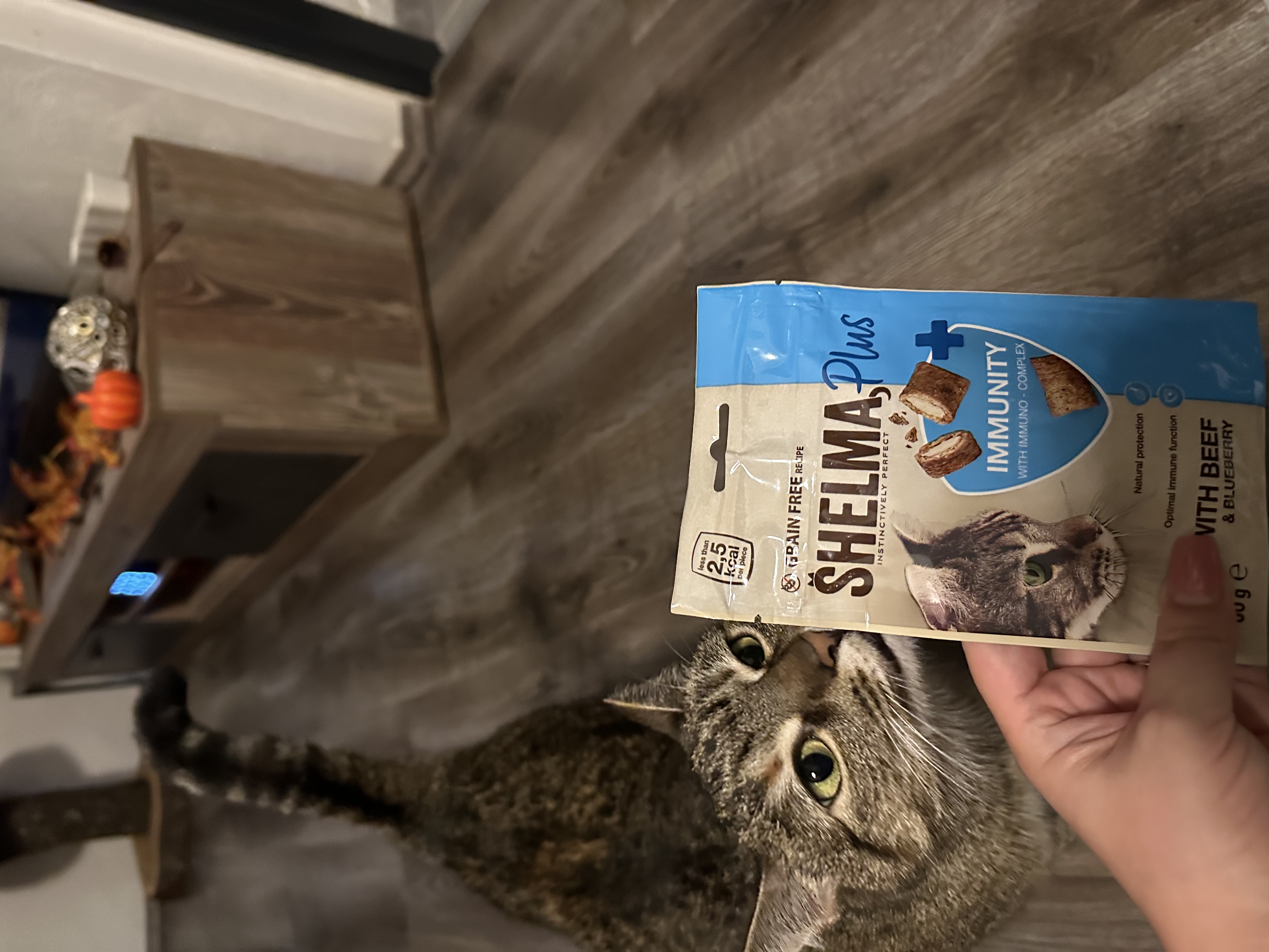 Partner in Pet Food CZ foto 6