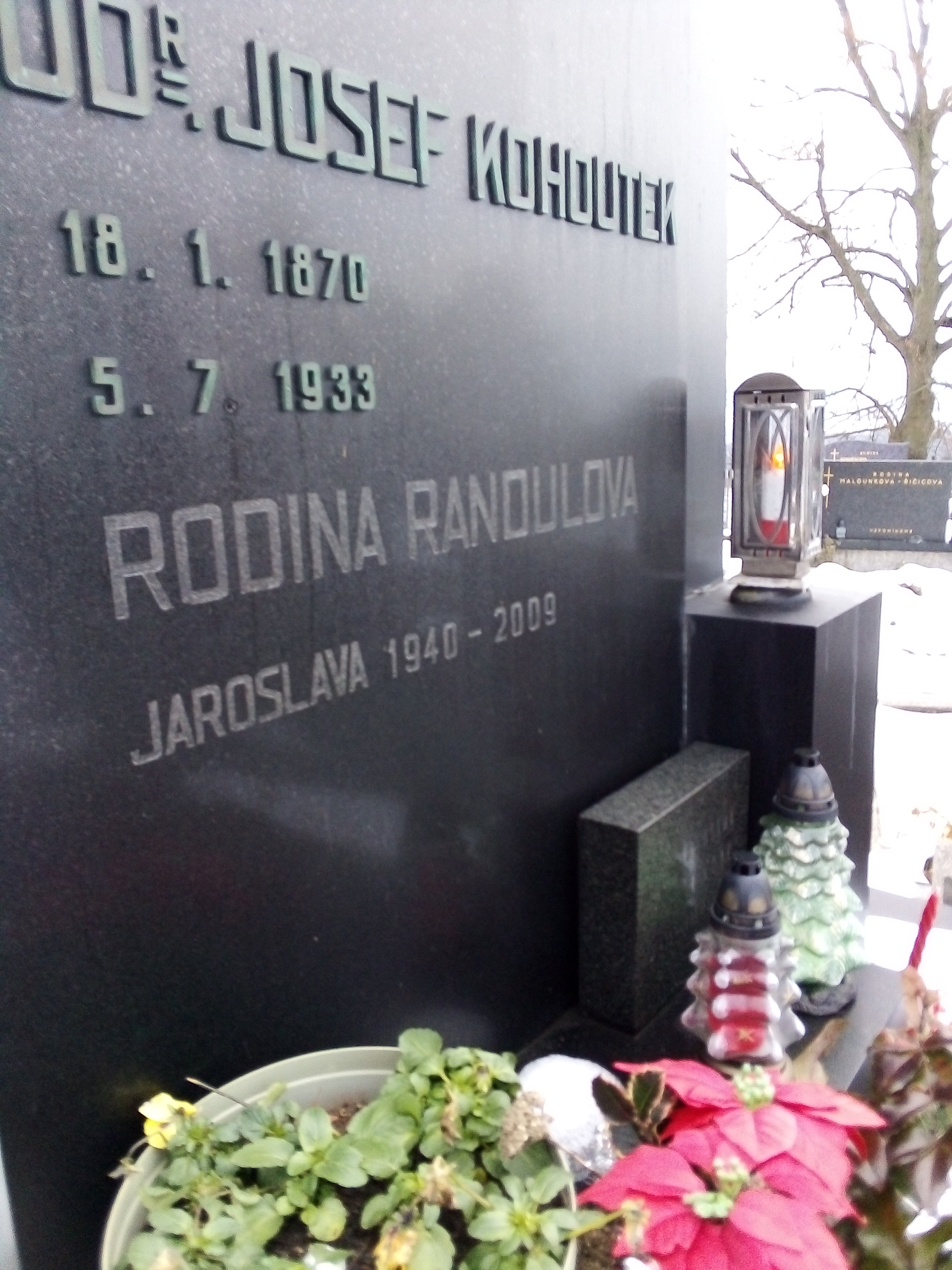 Zahradnictví Kohoutek Stanislav foto 2