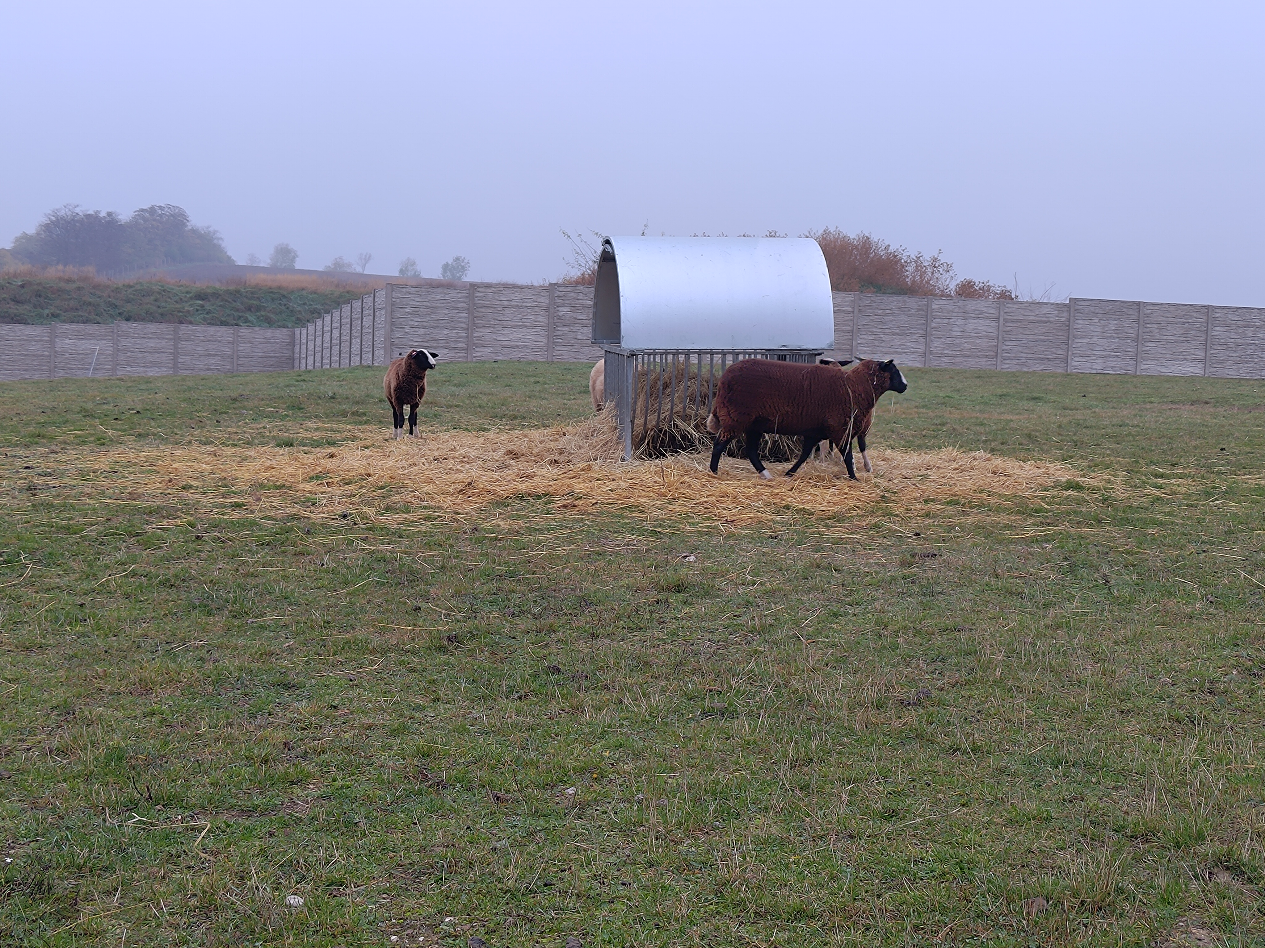 Dromy Vet s.r.o. foto 2