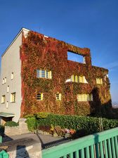 Walter Müller-Wuckow 建築 1900-1929 As an icon of architectural Modernism the mute cubic form of the