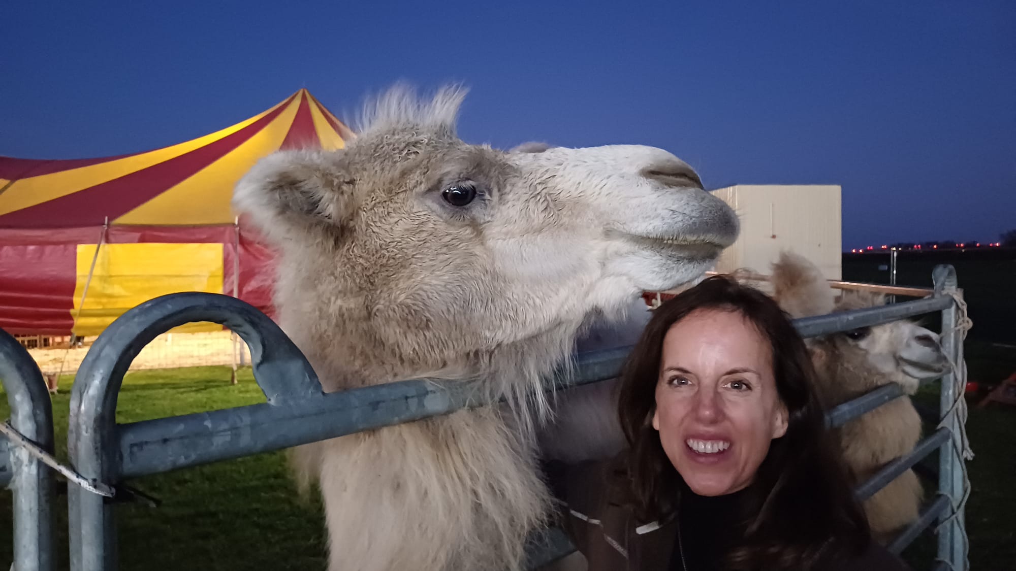 Cirkus Humberto foto 3