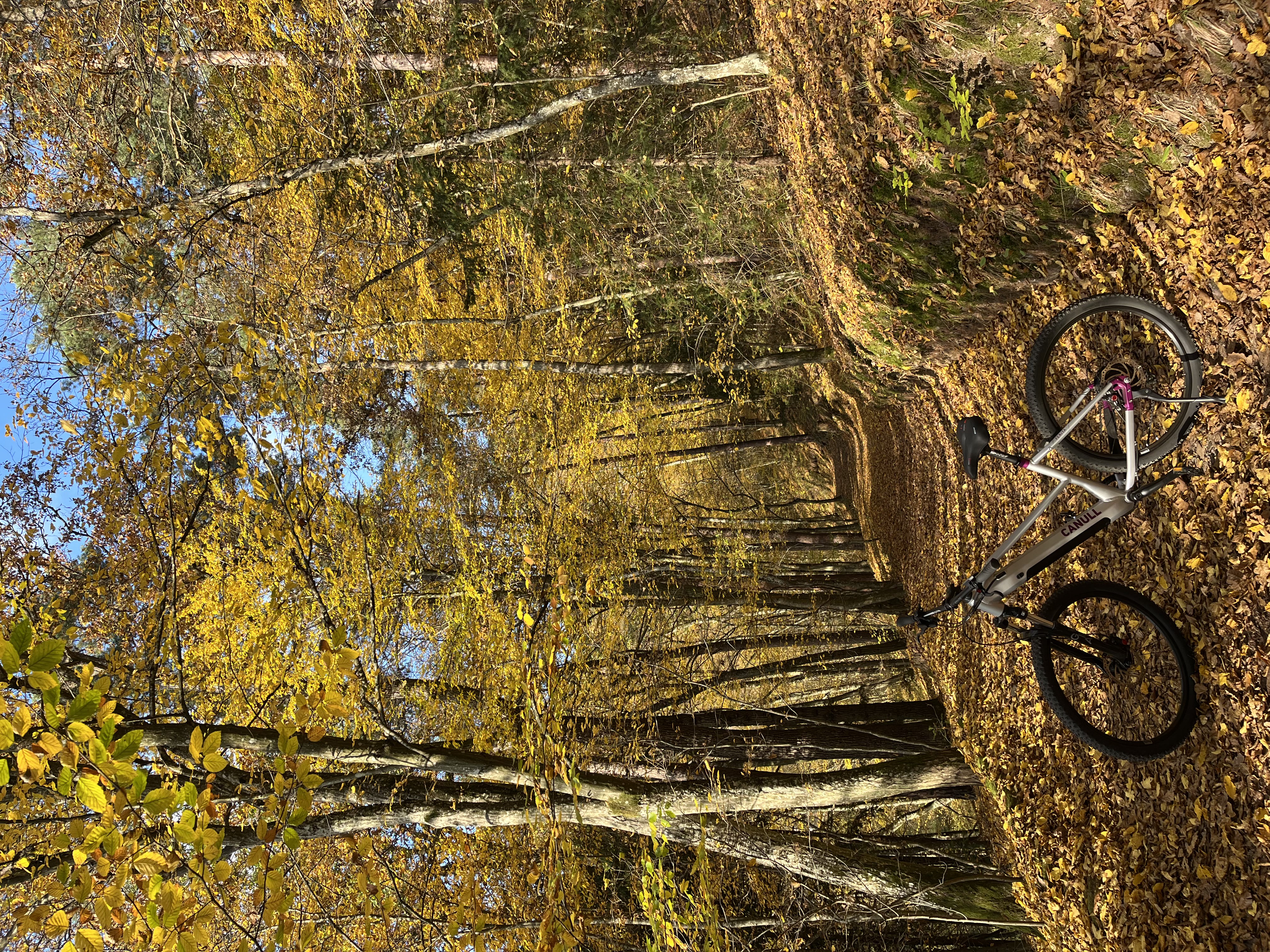 Top-Cyklo foto 4