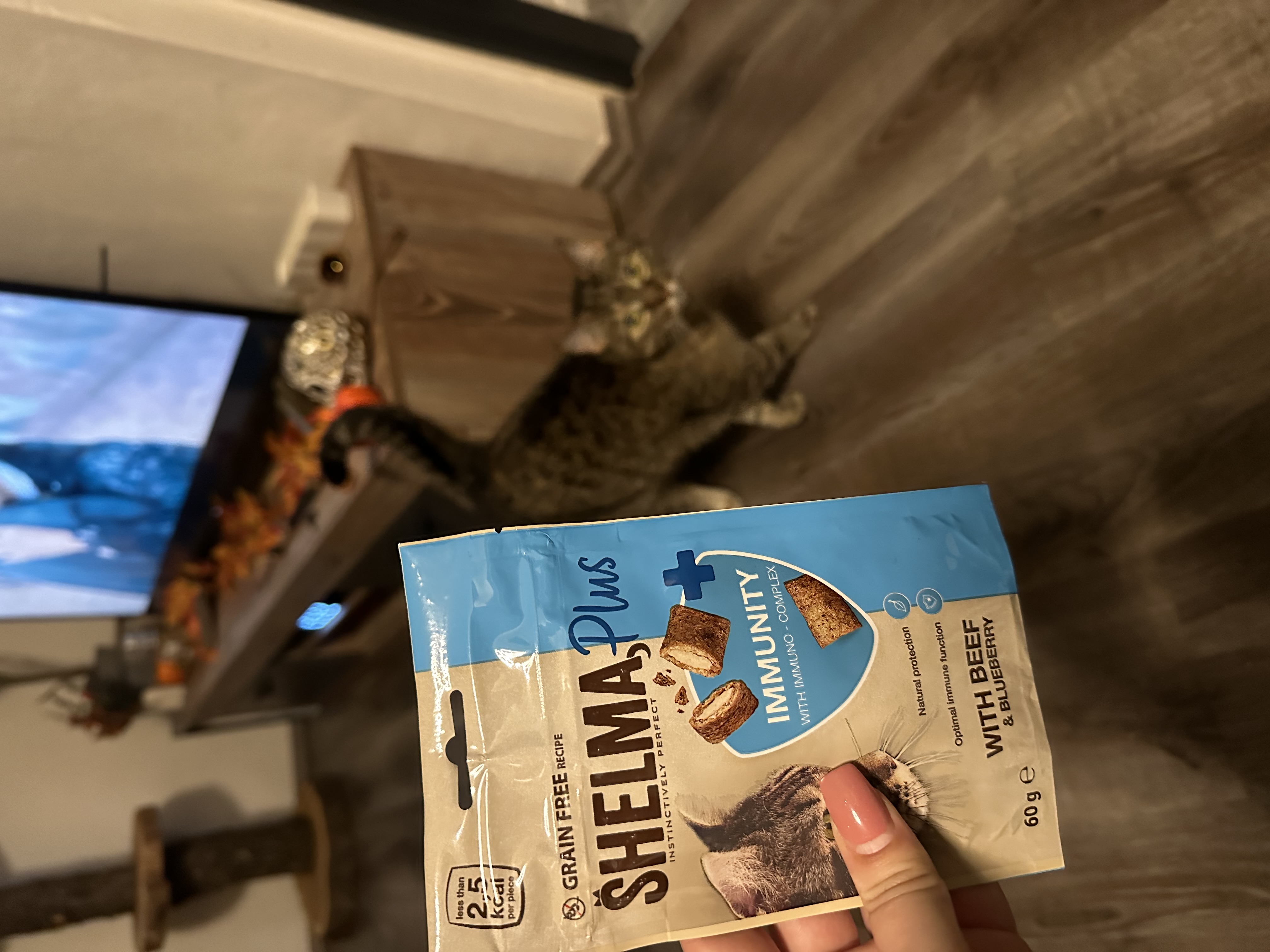 Partner in Pet Food CZ foto 5