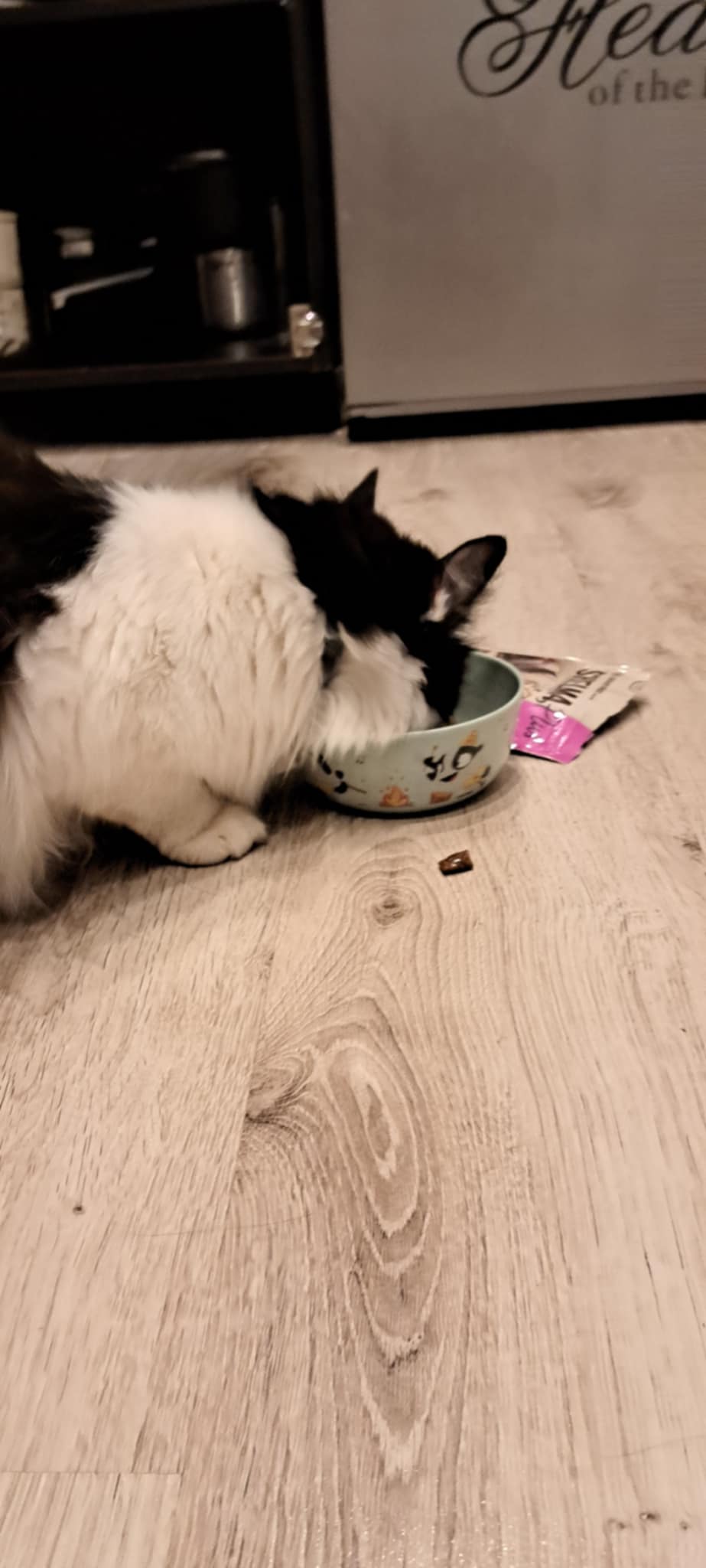 Partner In Pet Food CZ foto 6