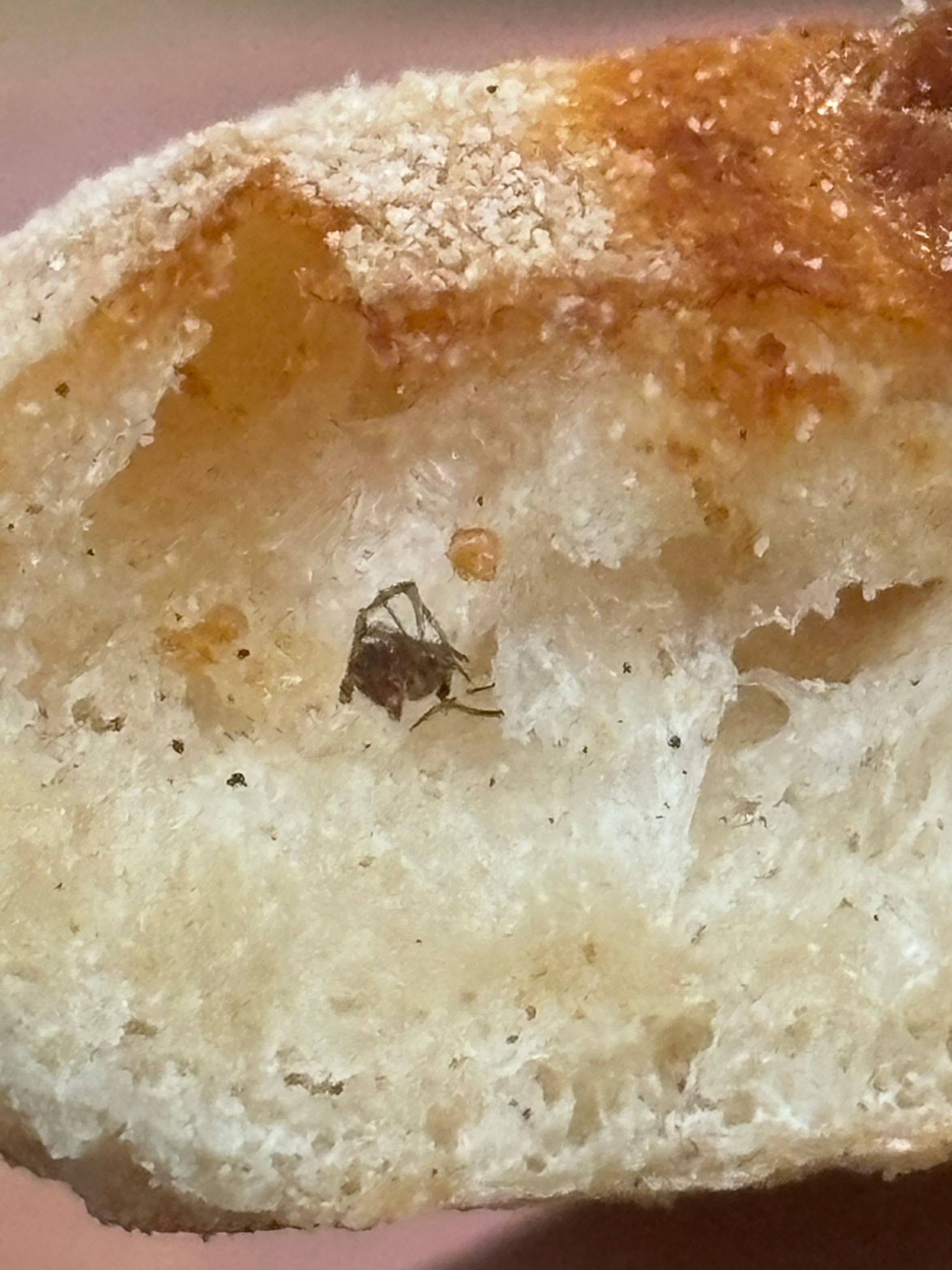 Pizza Papa Cipolla foto 4