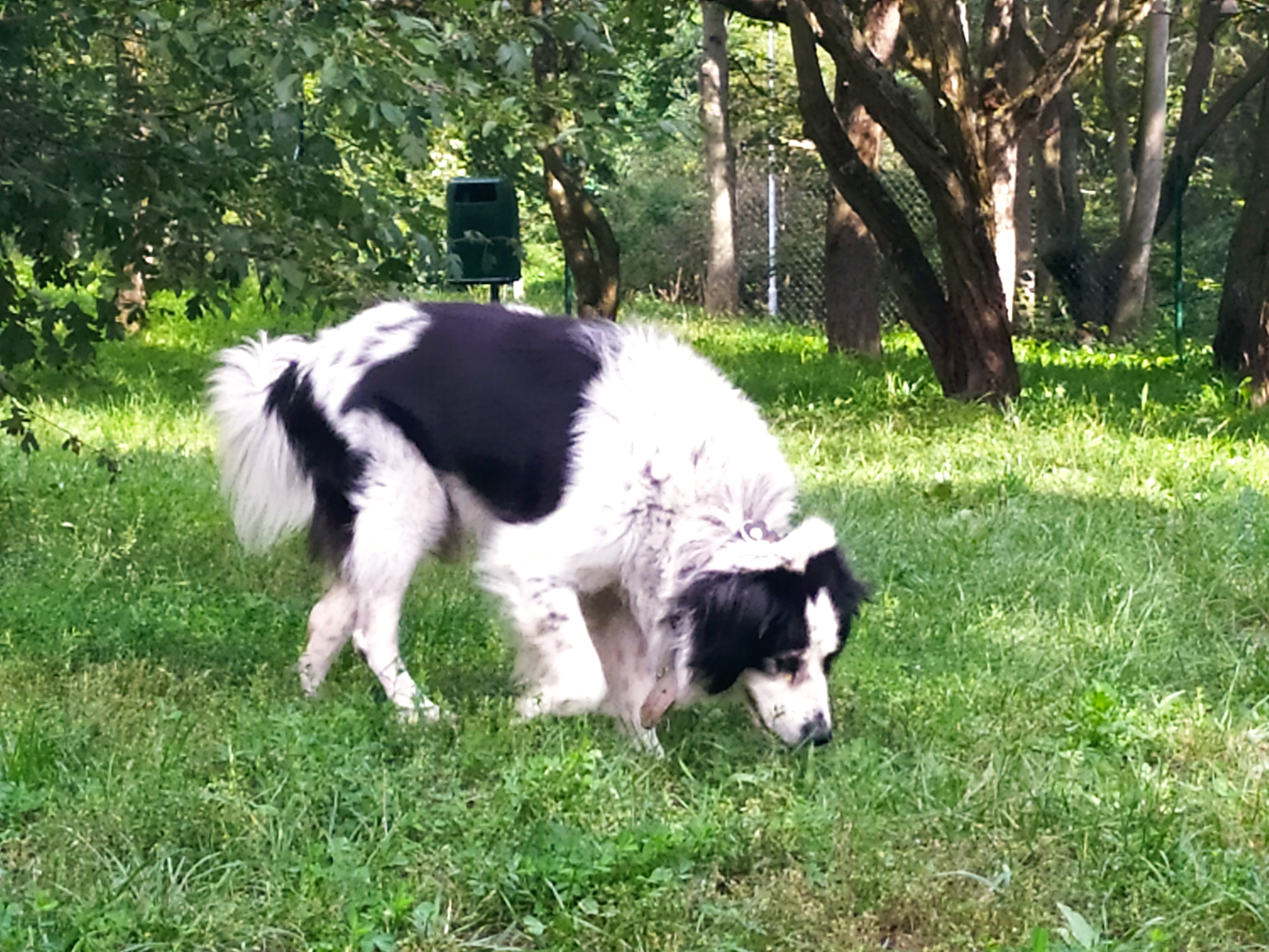 Veterinární klinika MVDr. Igora Beneše foto 6