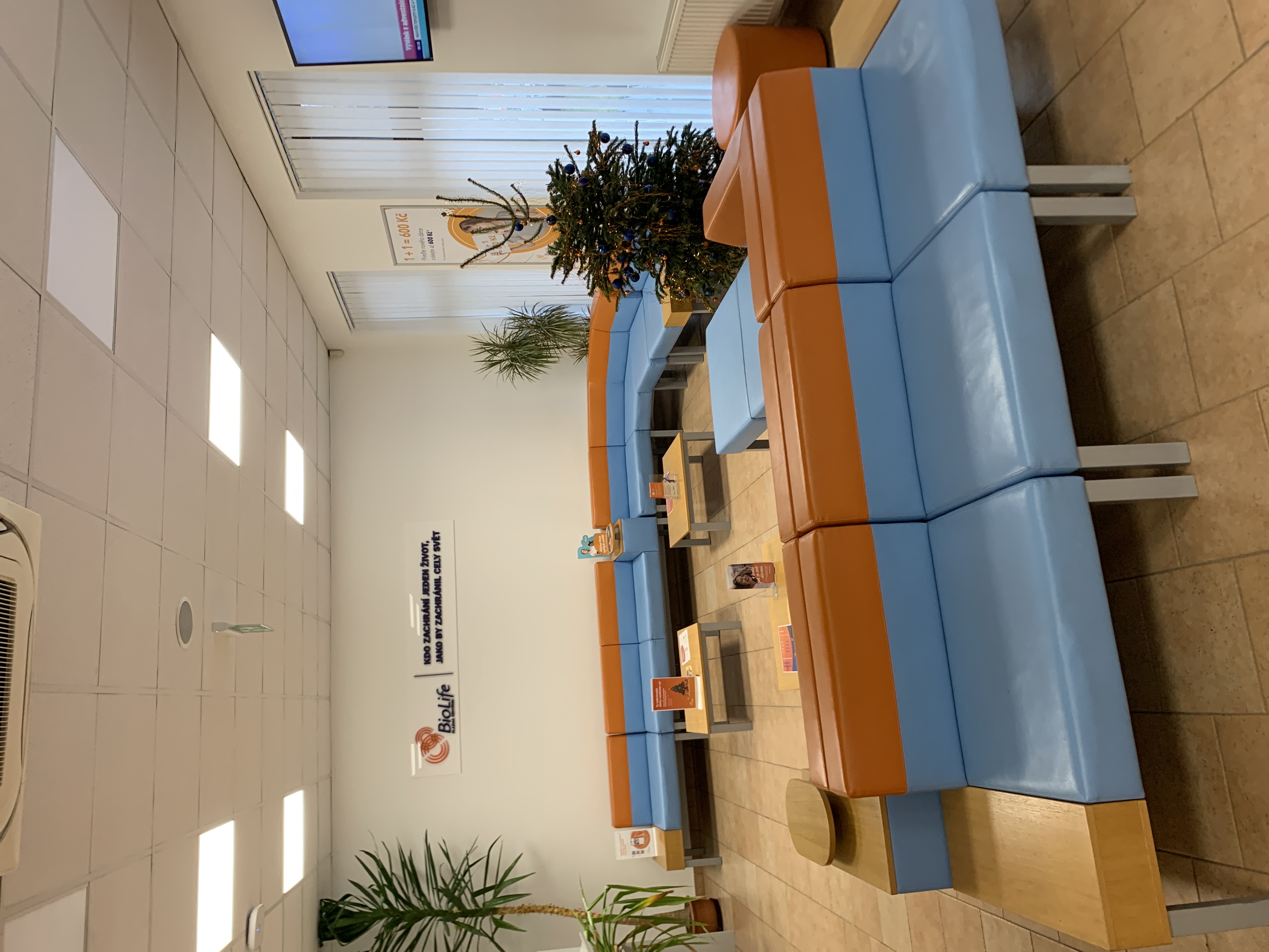 BioLife - sanaplasma foto 5