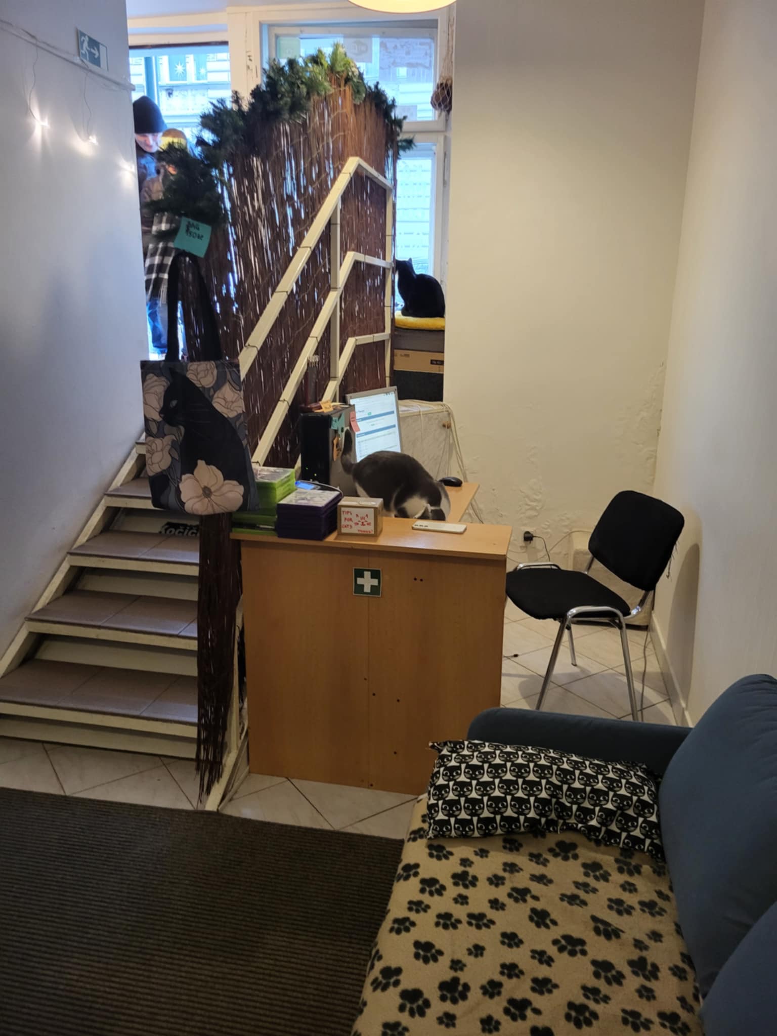 Cat Cafe Prague foto 5