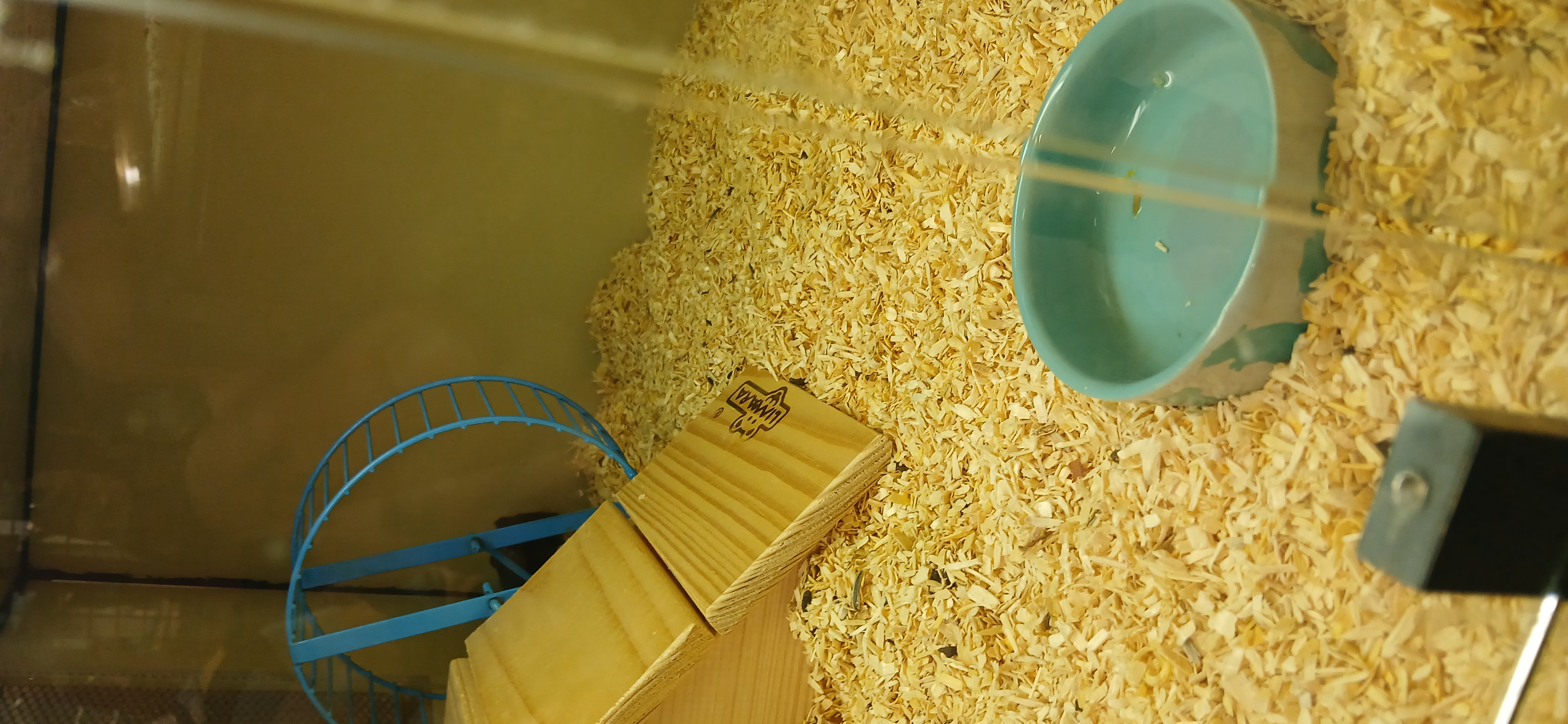 Pet Center foto 3