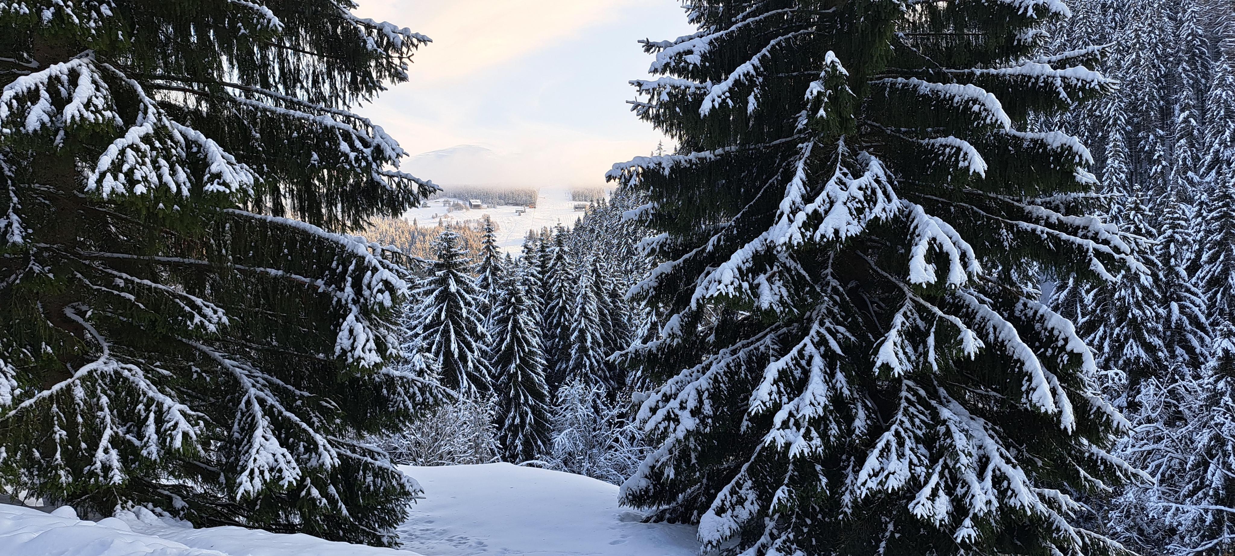 Chata Chemie – VŠCHT foto 6