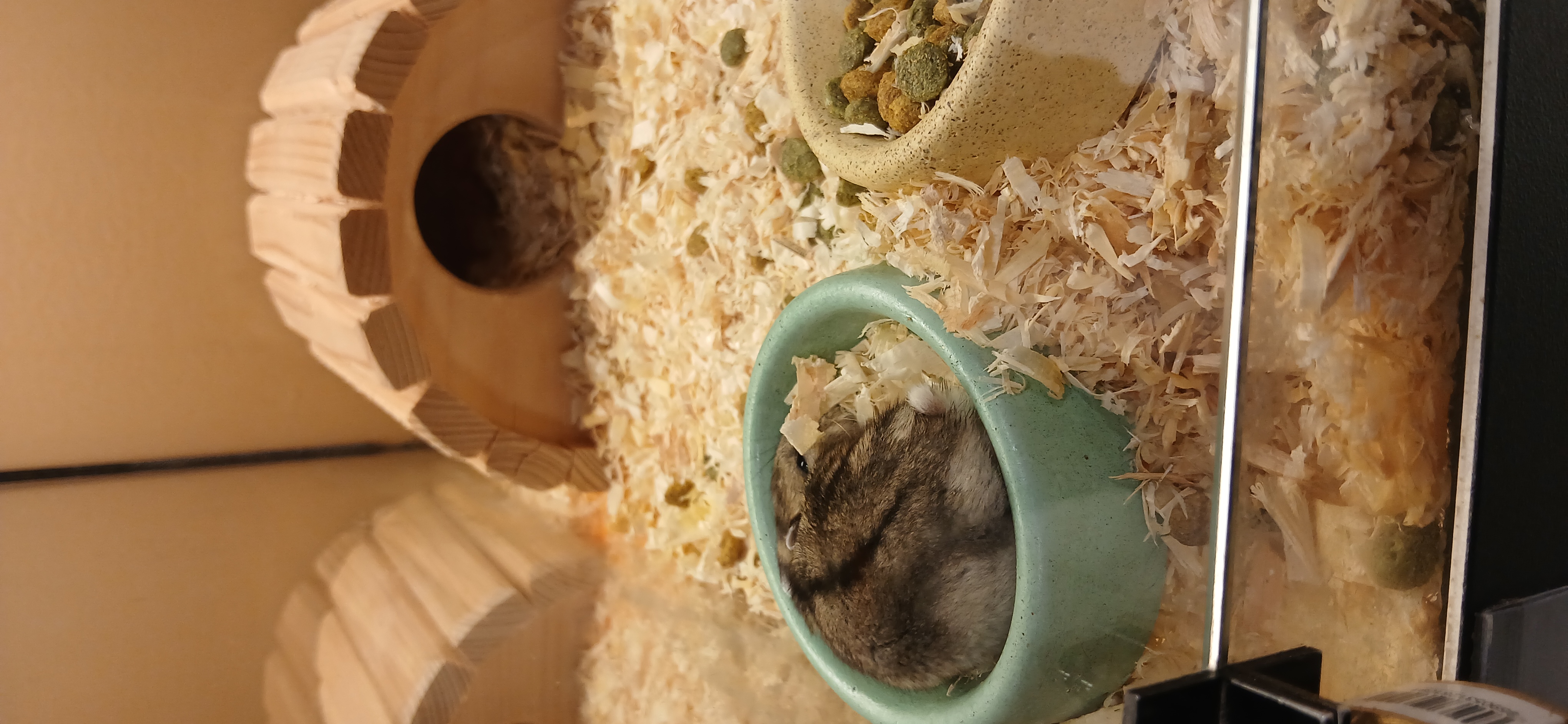 Pet Center foto 2
