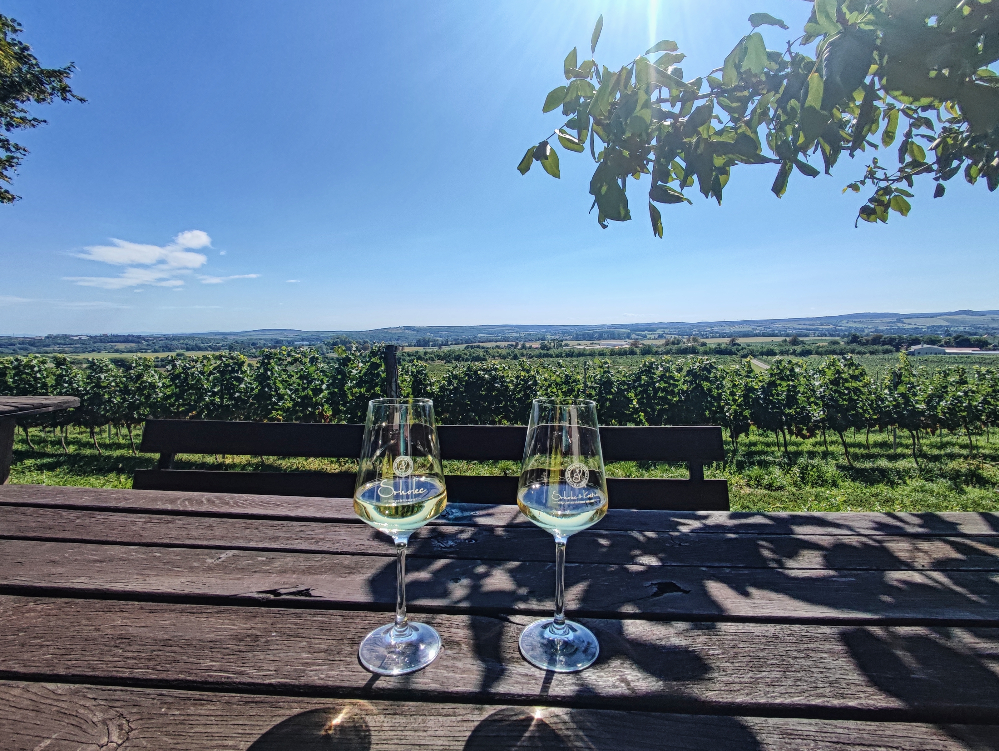 Vinařství Srholec a Koštial foto 4