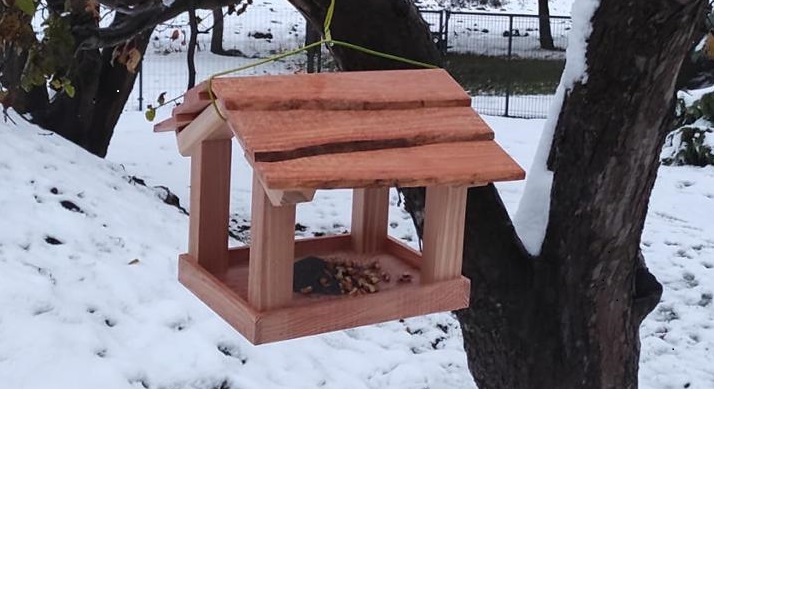 TRUHLÁŘSTVÍ Luboš Dolanský foto 5
