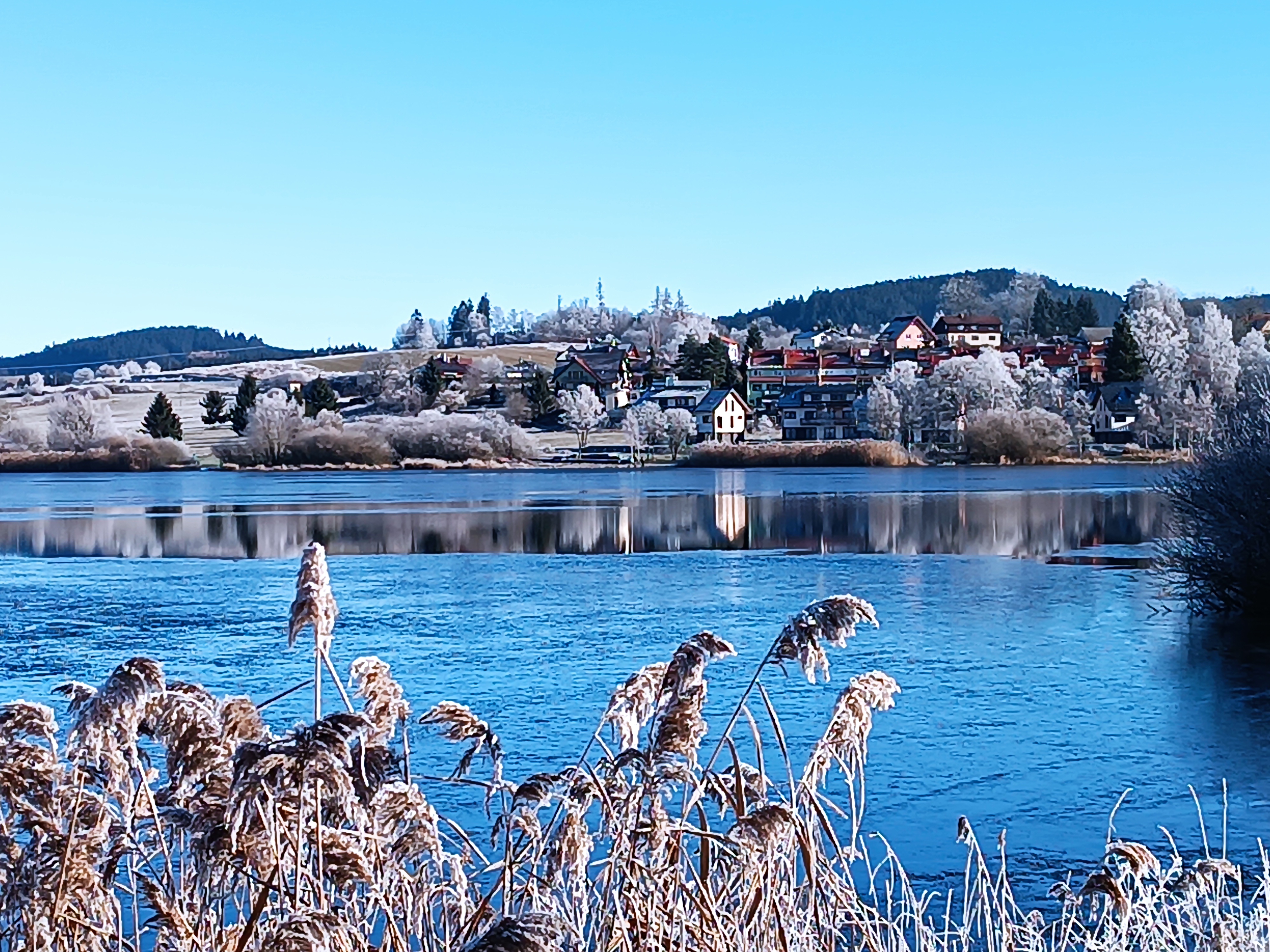 Lipno Apartments BERGMAX foto 4