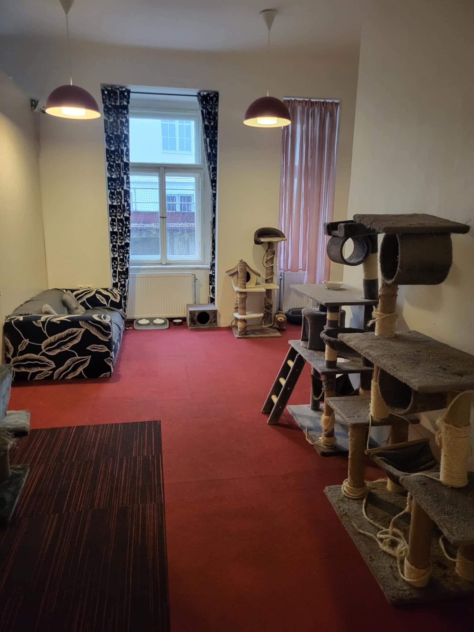 Cat Cafe Prague foto 1