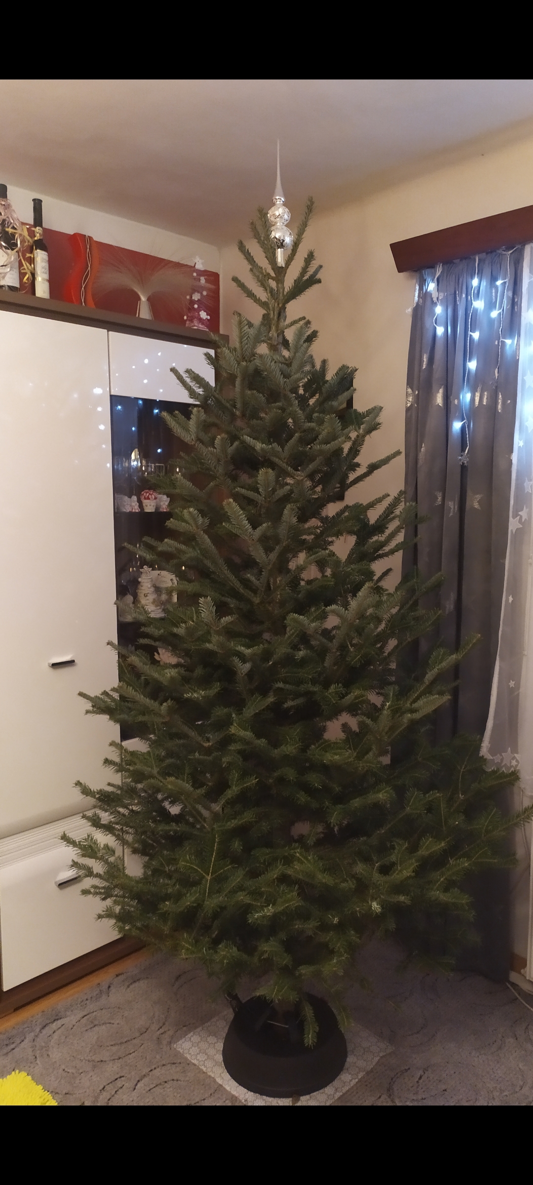 Vánoční stromky Čáp foto 2