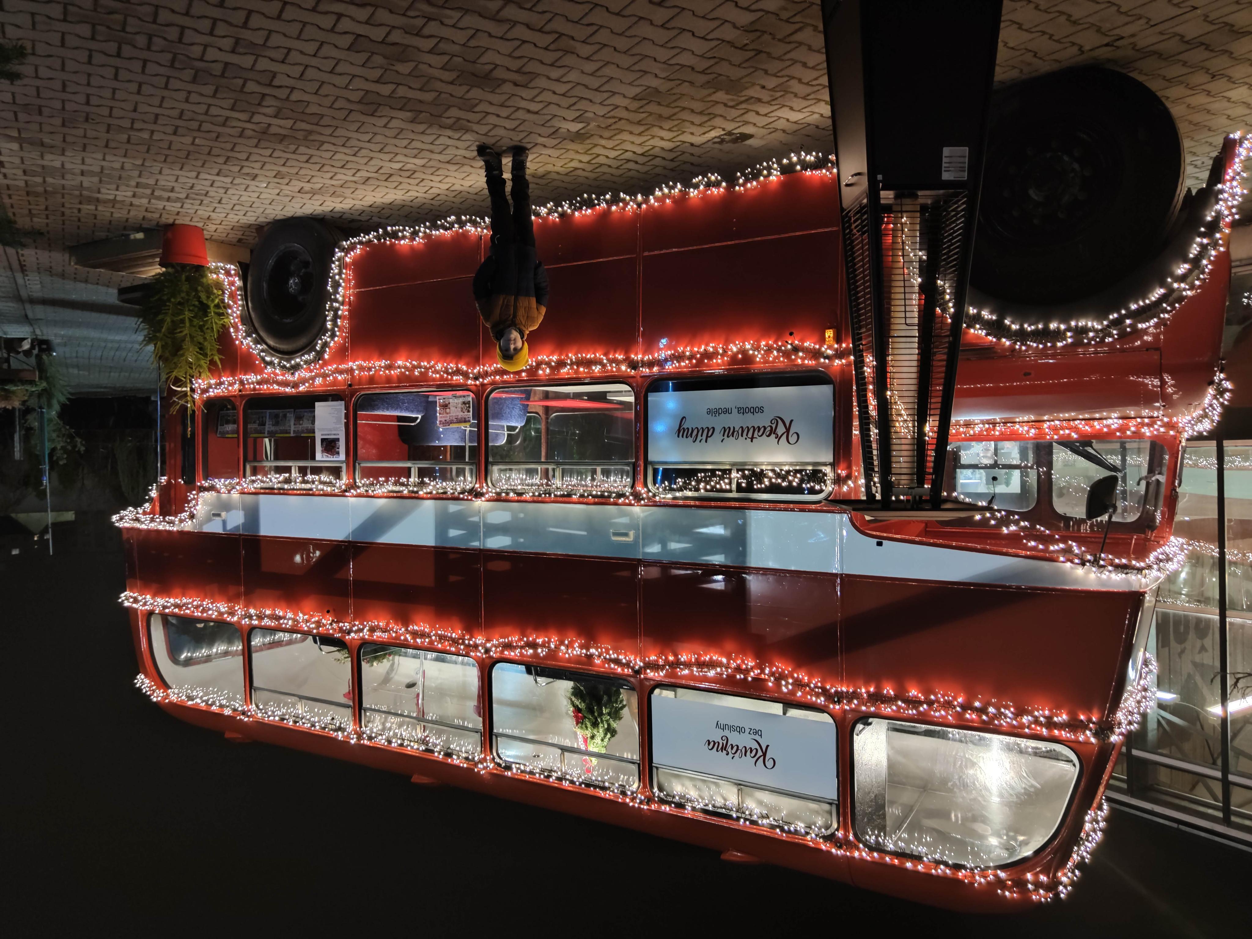 Zahradnictví Dvořák a syn foto 4