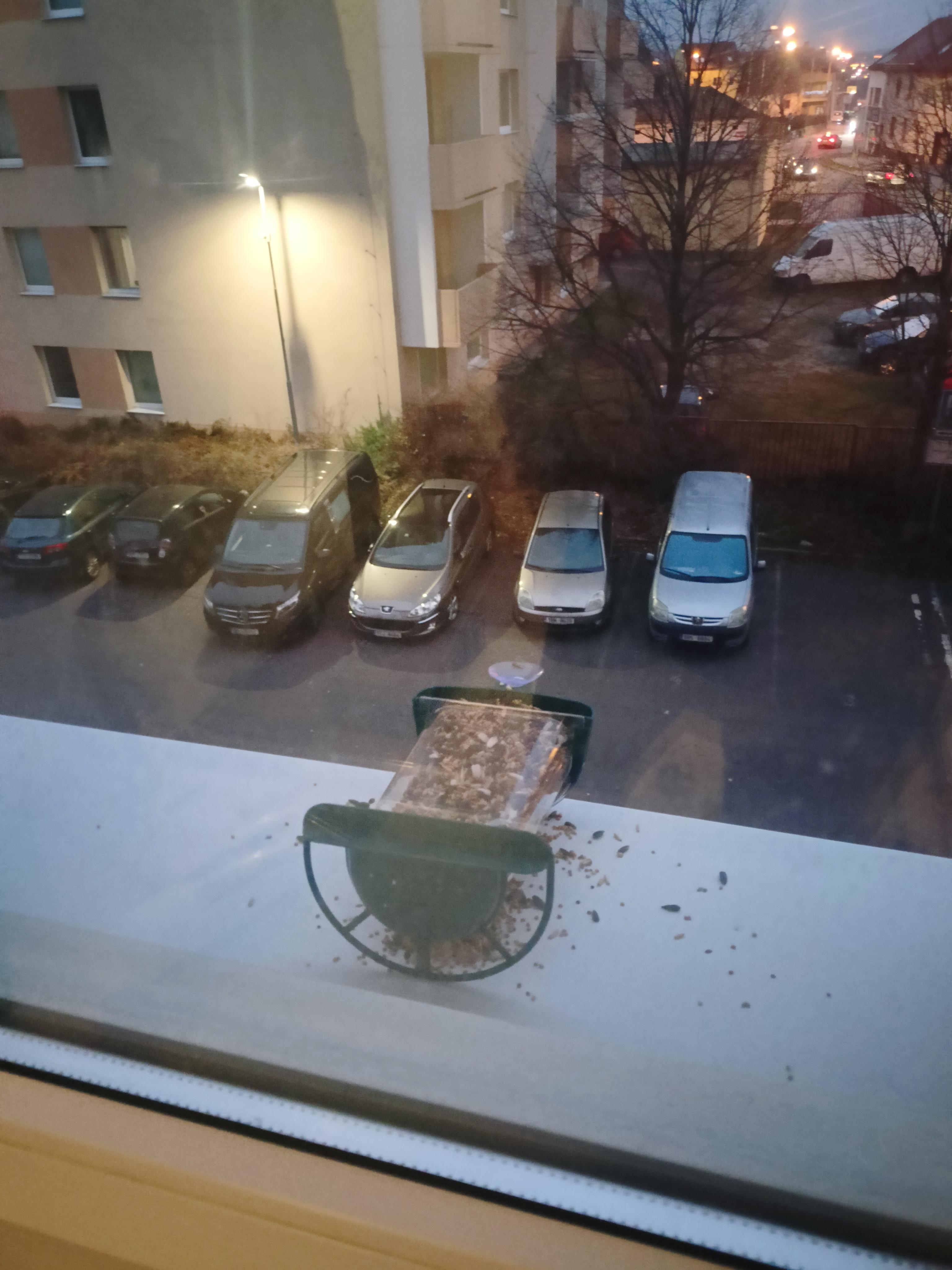 Dárky.cz foto 2