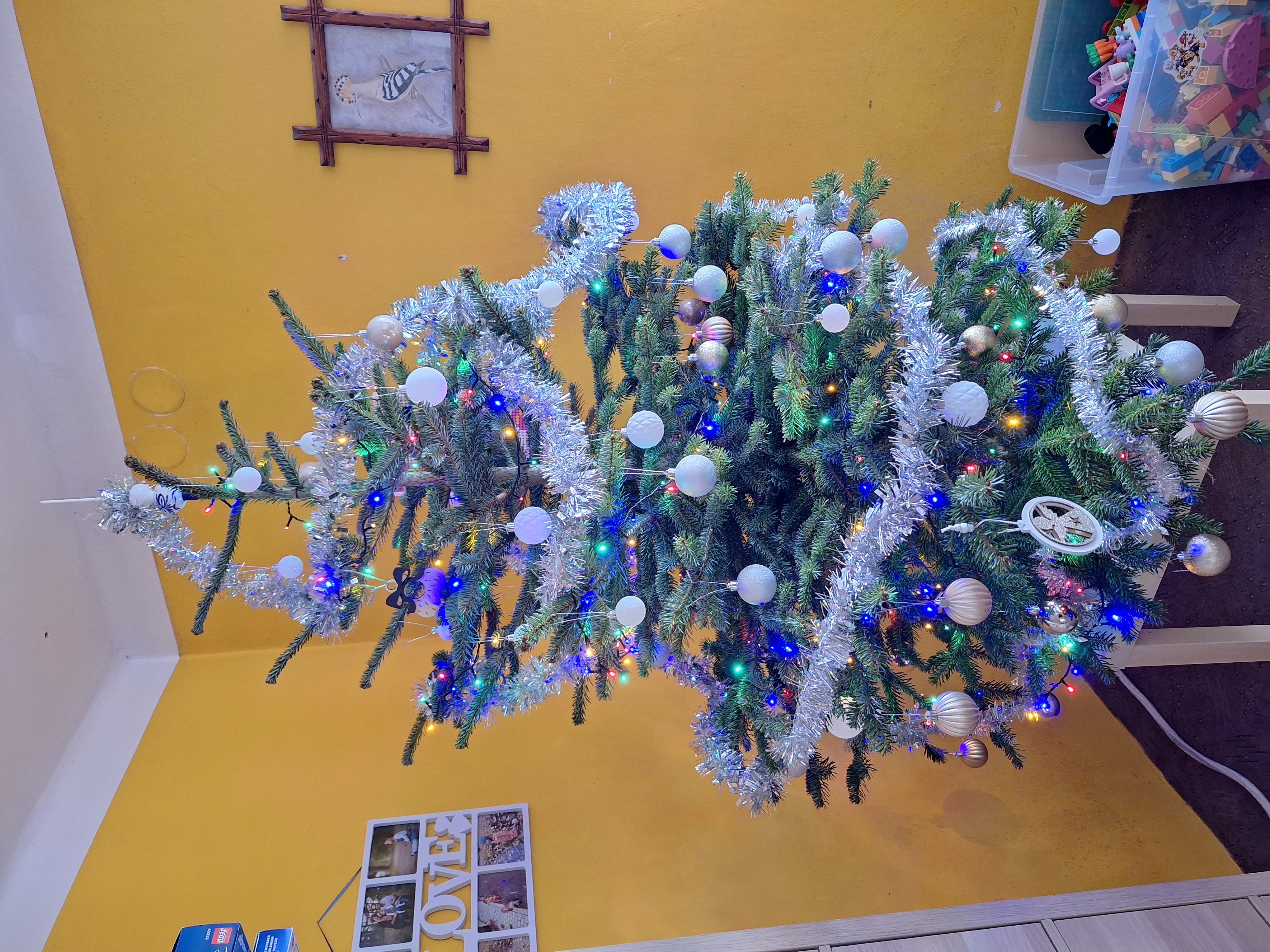 Vánoční plantáž Šlovice foto 2