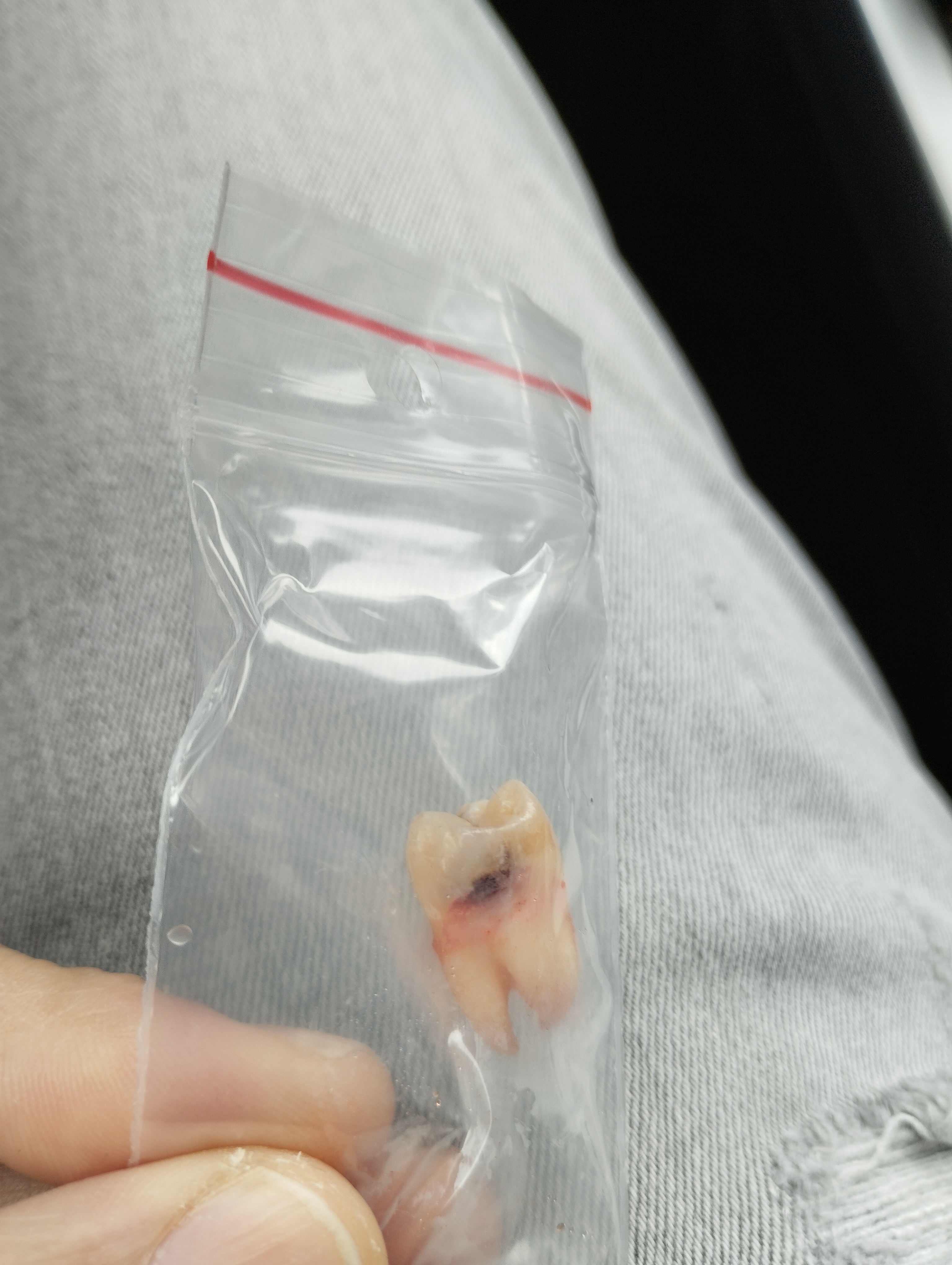 Mudr. Pavel Jech foto 3