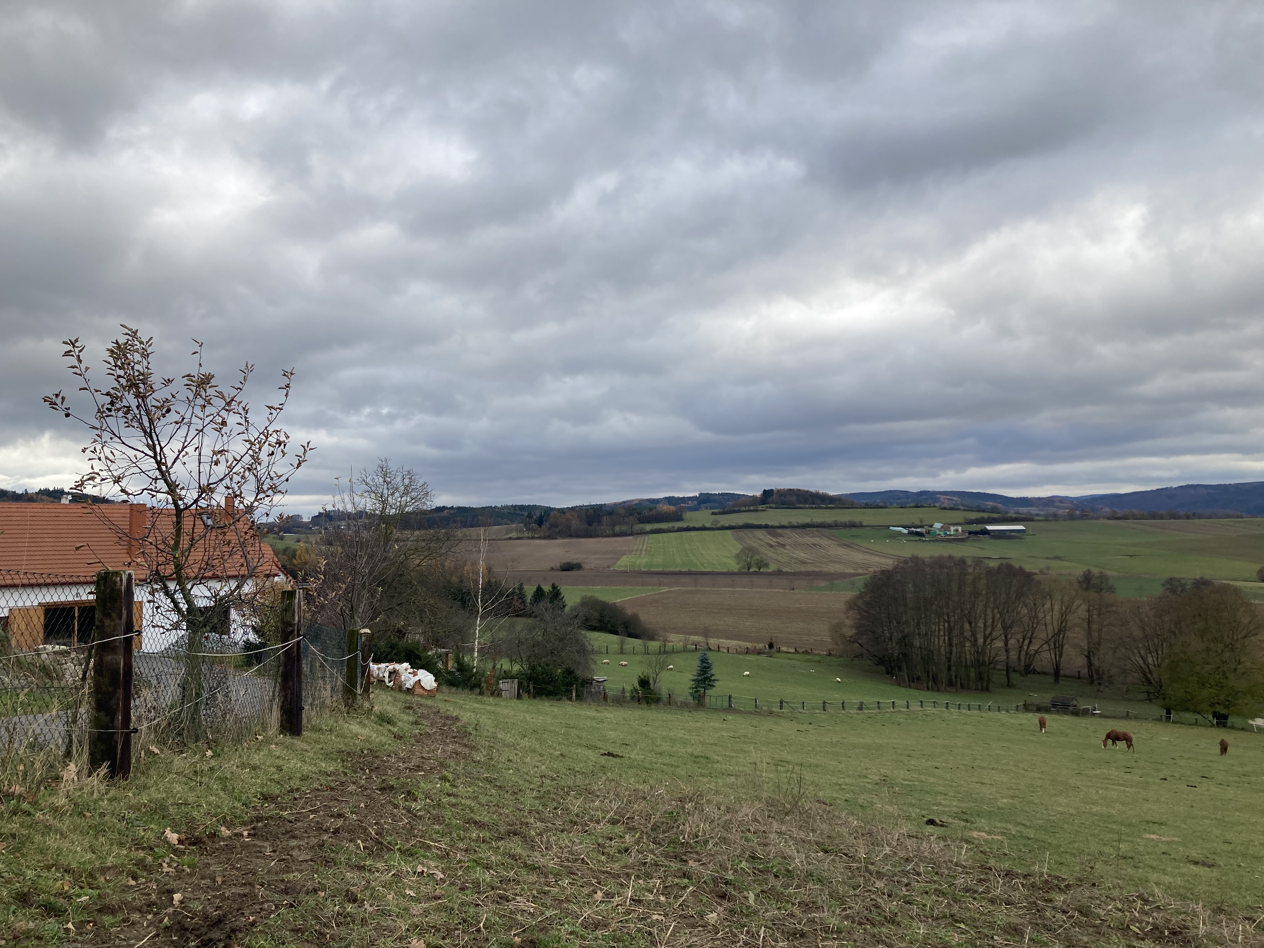 Agropenzion Řídký foto 5