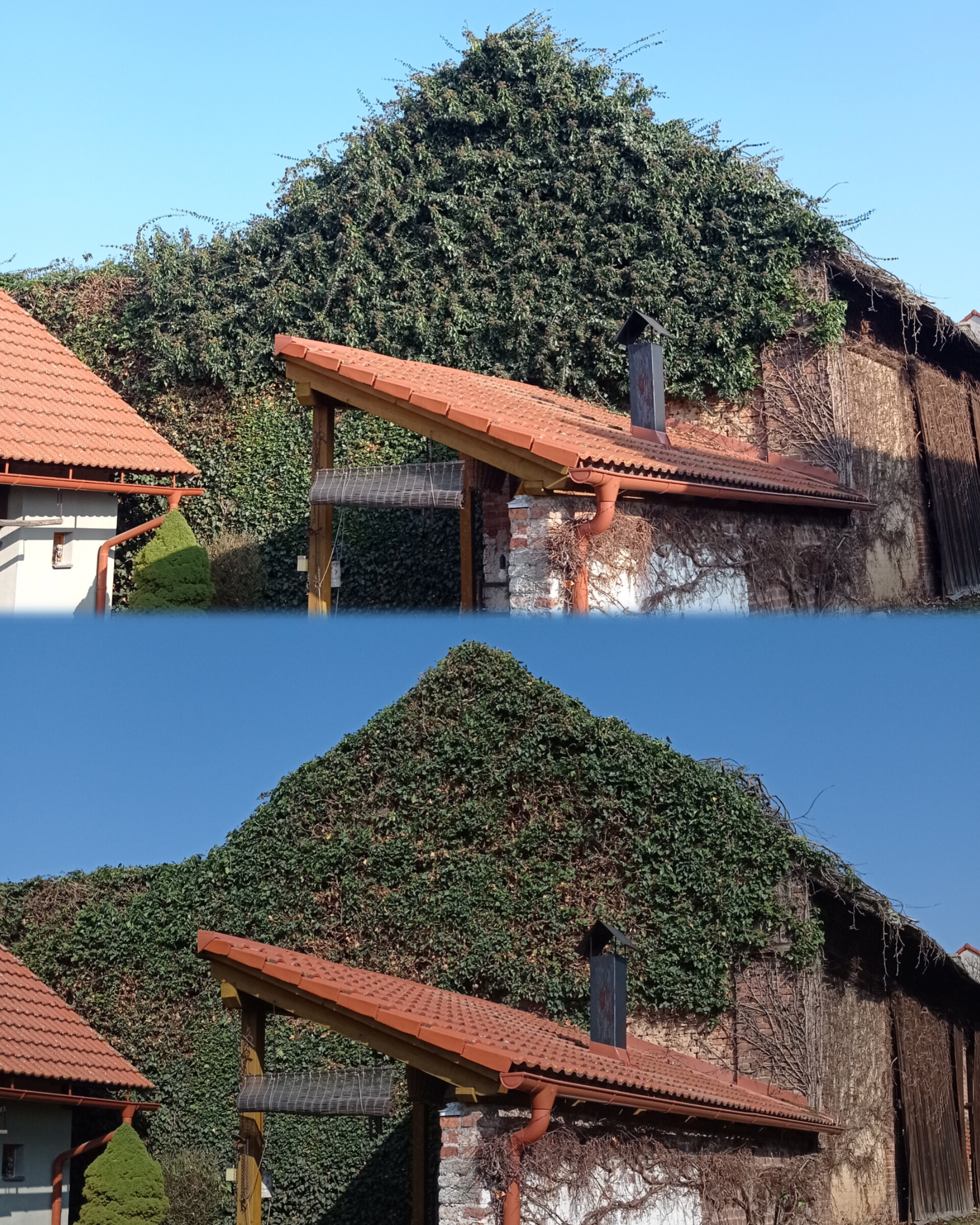 Péče o zeleň a stromolezectví - Miloš Kaucký foto 2