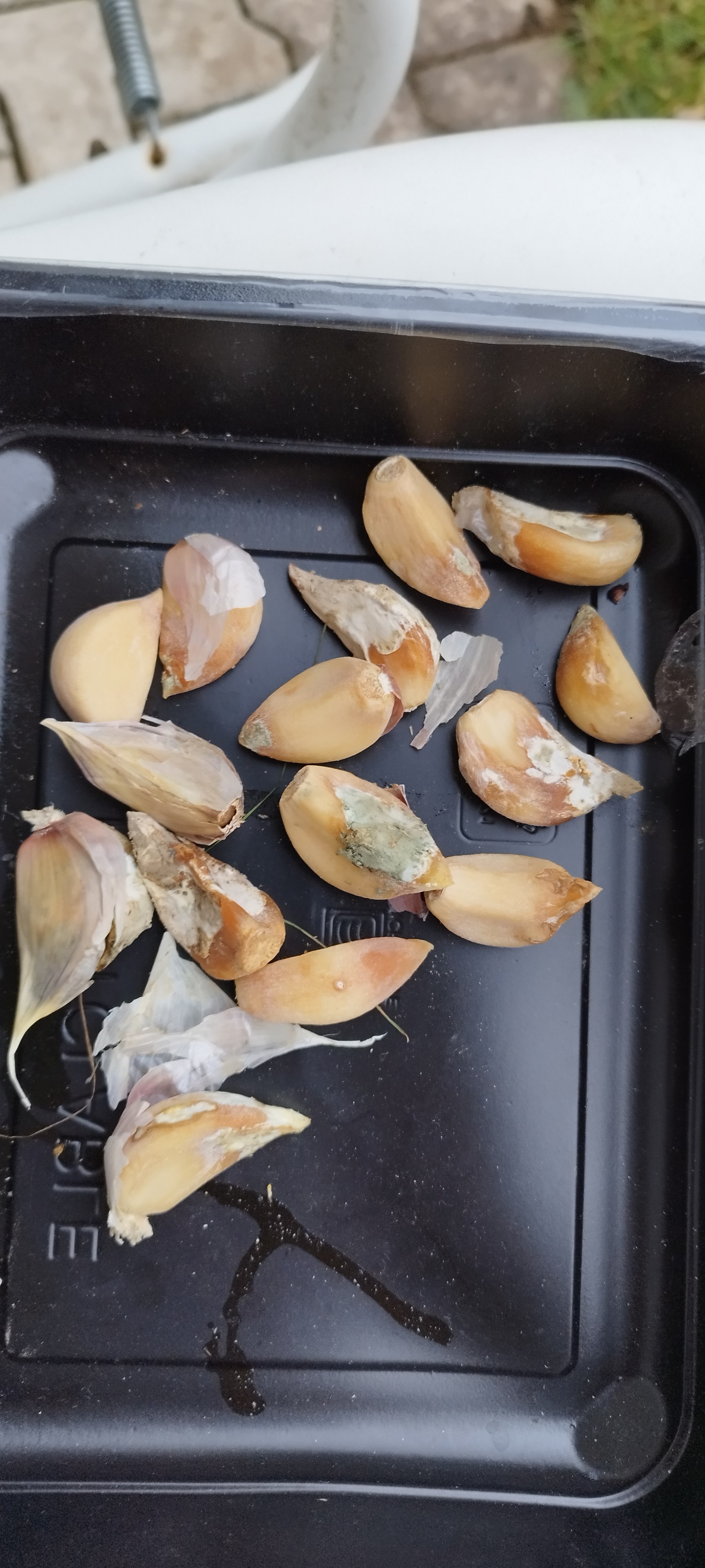 Truhlíkov.cz foto 5