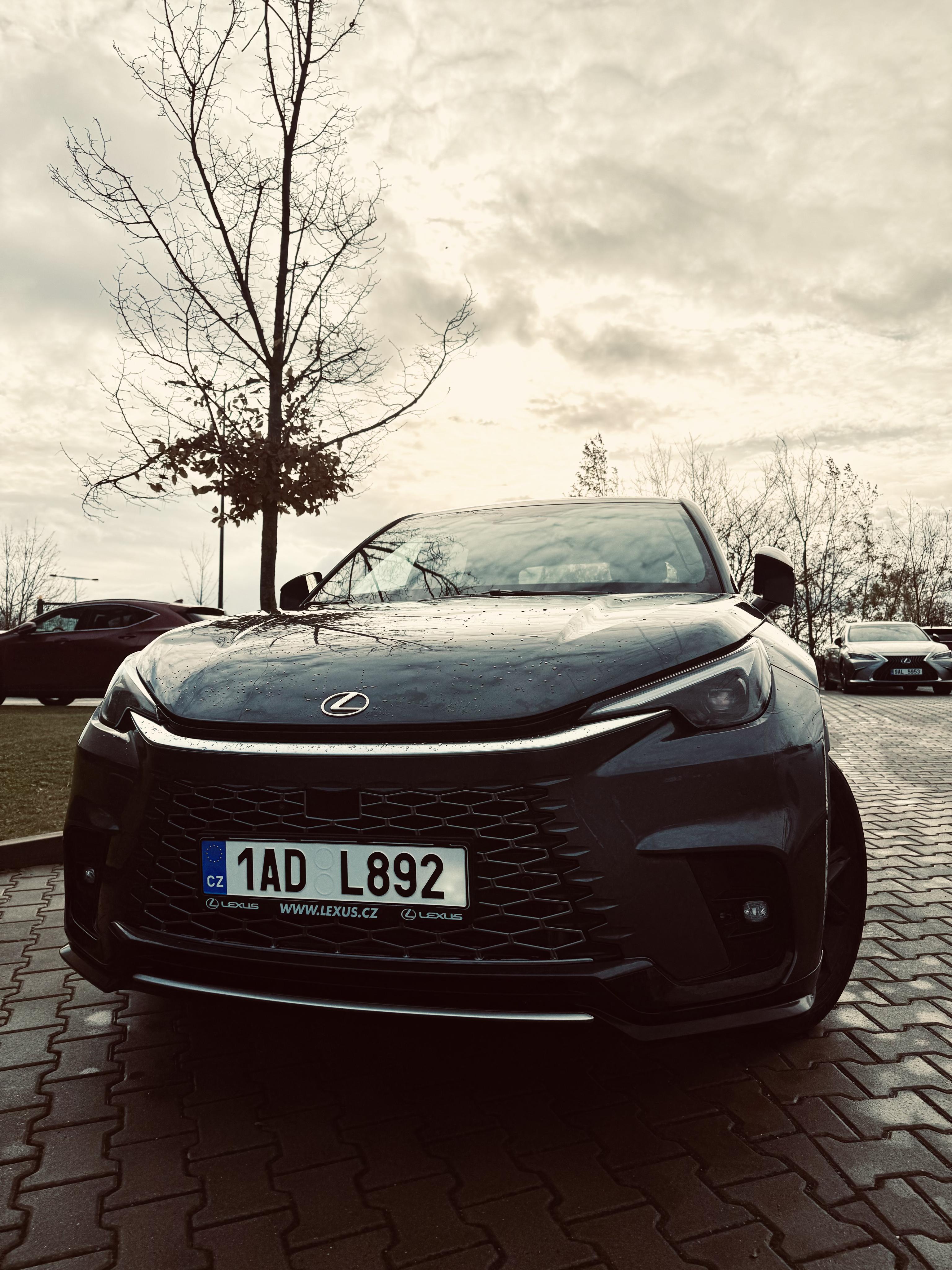 Louwman Motor Praha - Lexus Praha foto 1