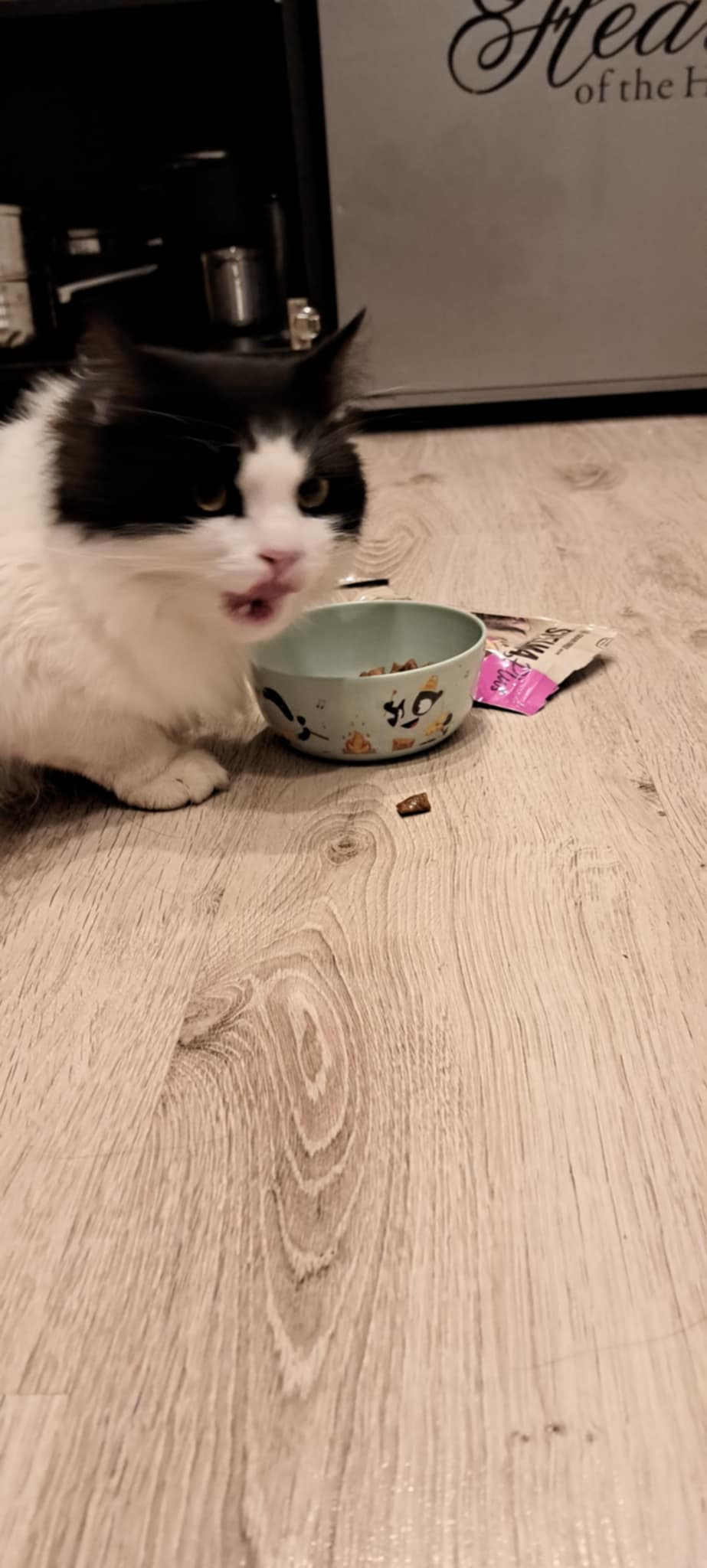 Partner In Pet Food CZ foto 5