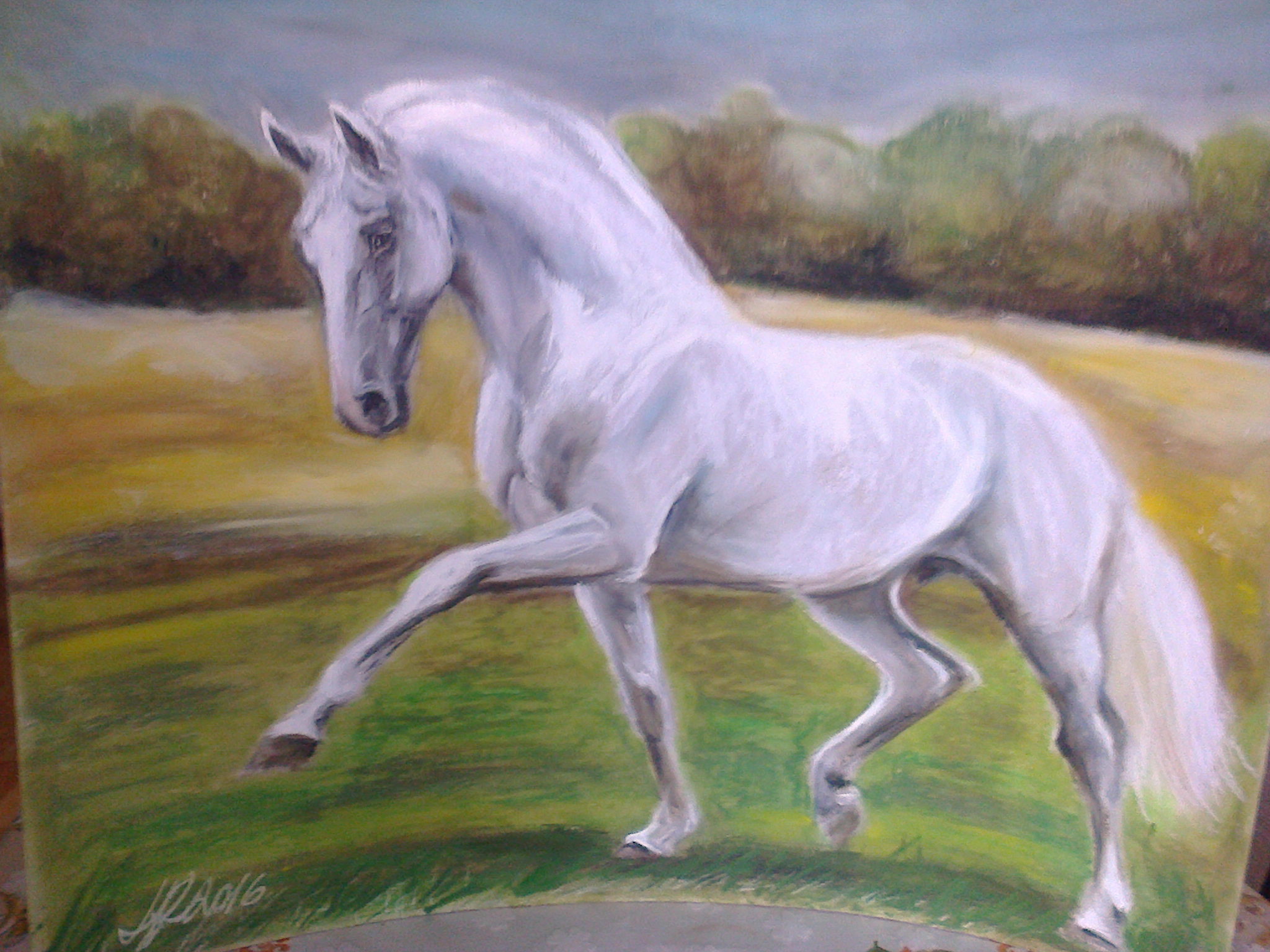 Jana Melichová - Obrazy koní foto 2