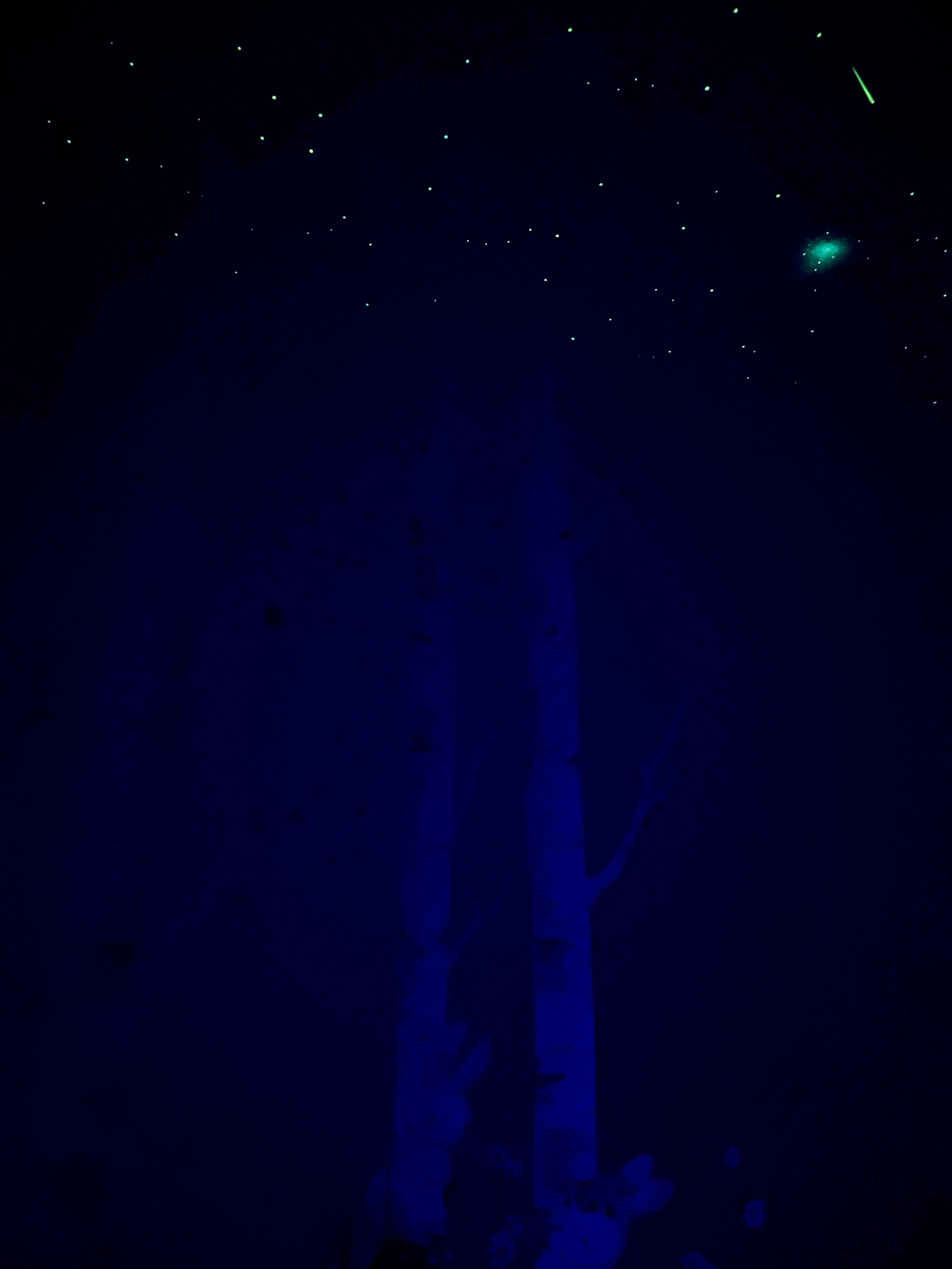 Hvězdné stropy - Martin Falc foto 3