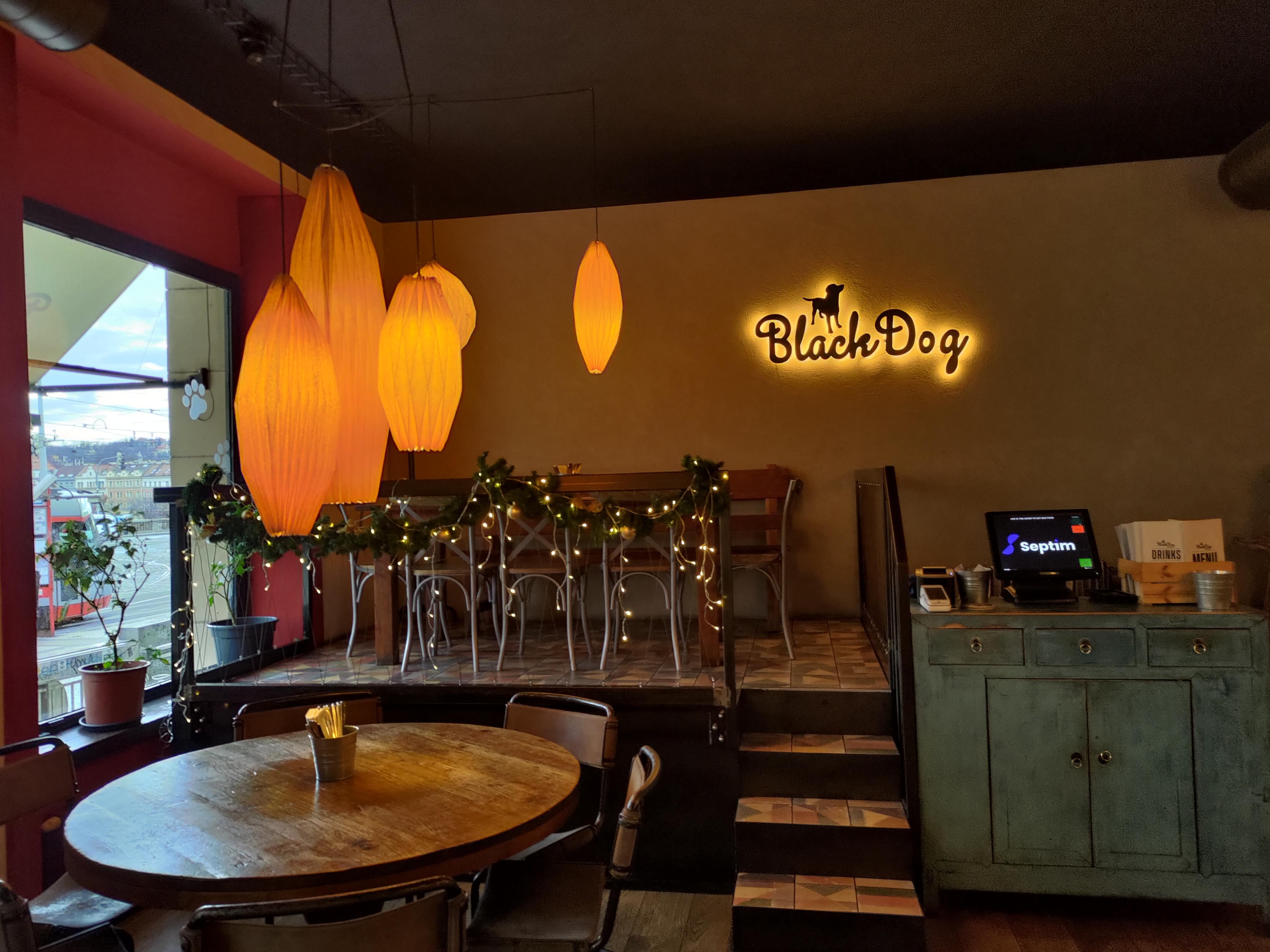 Black dog Cantina foto 1