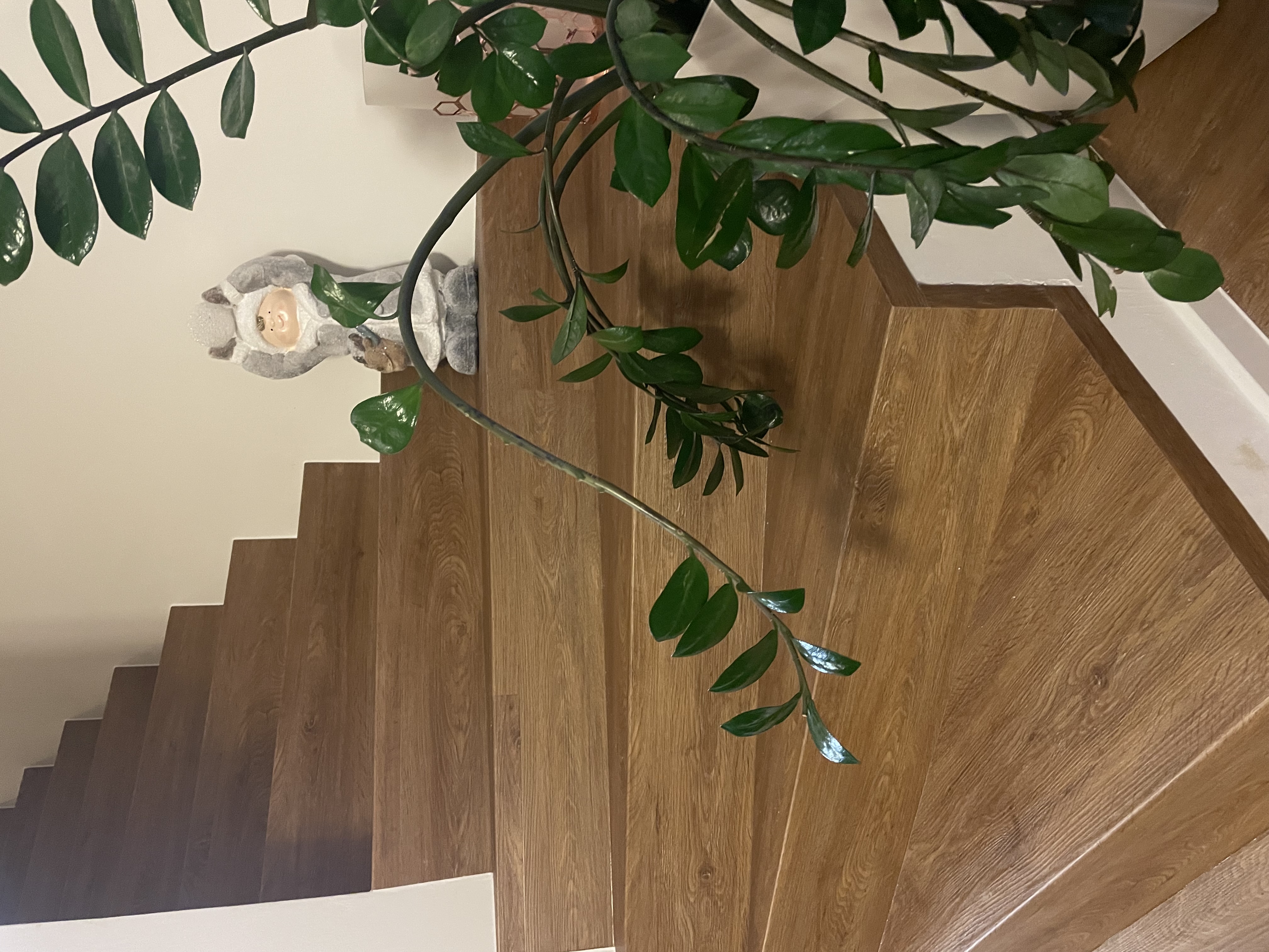 Vinyl House s.r.o. foto 5