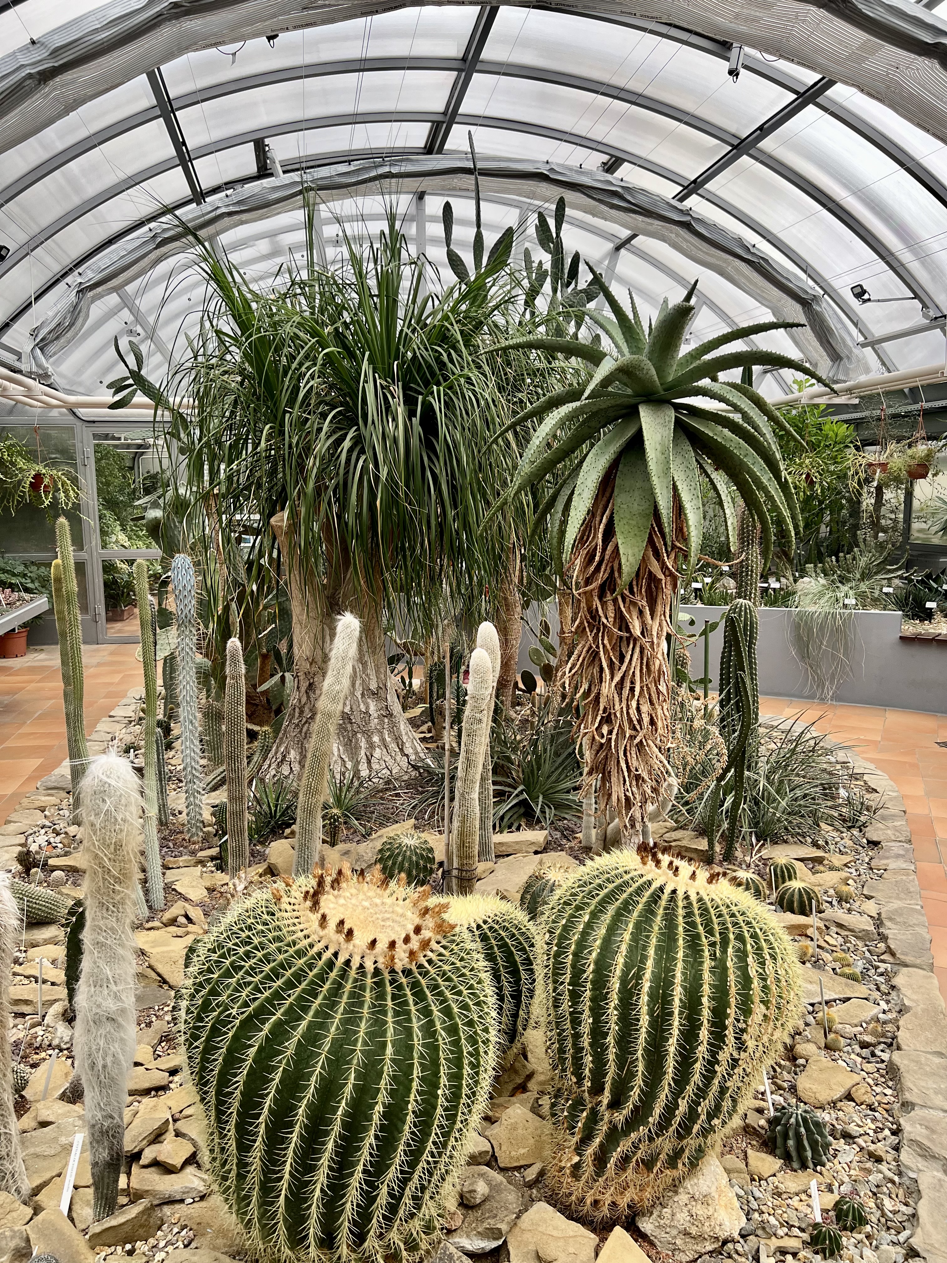 Botanická zahrada Přírodovědecké fakulty Masarykovy univerzity foto 6
