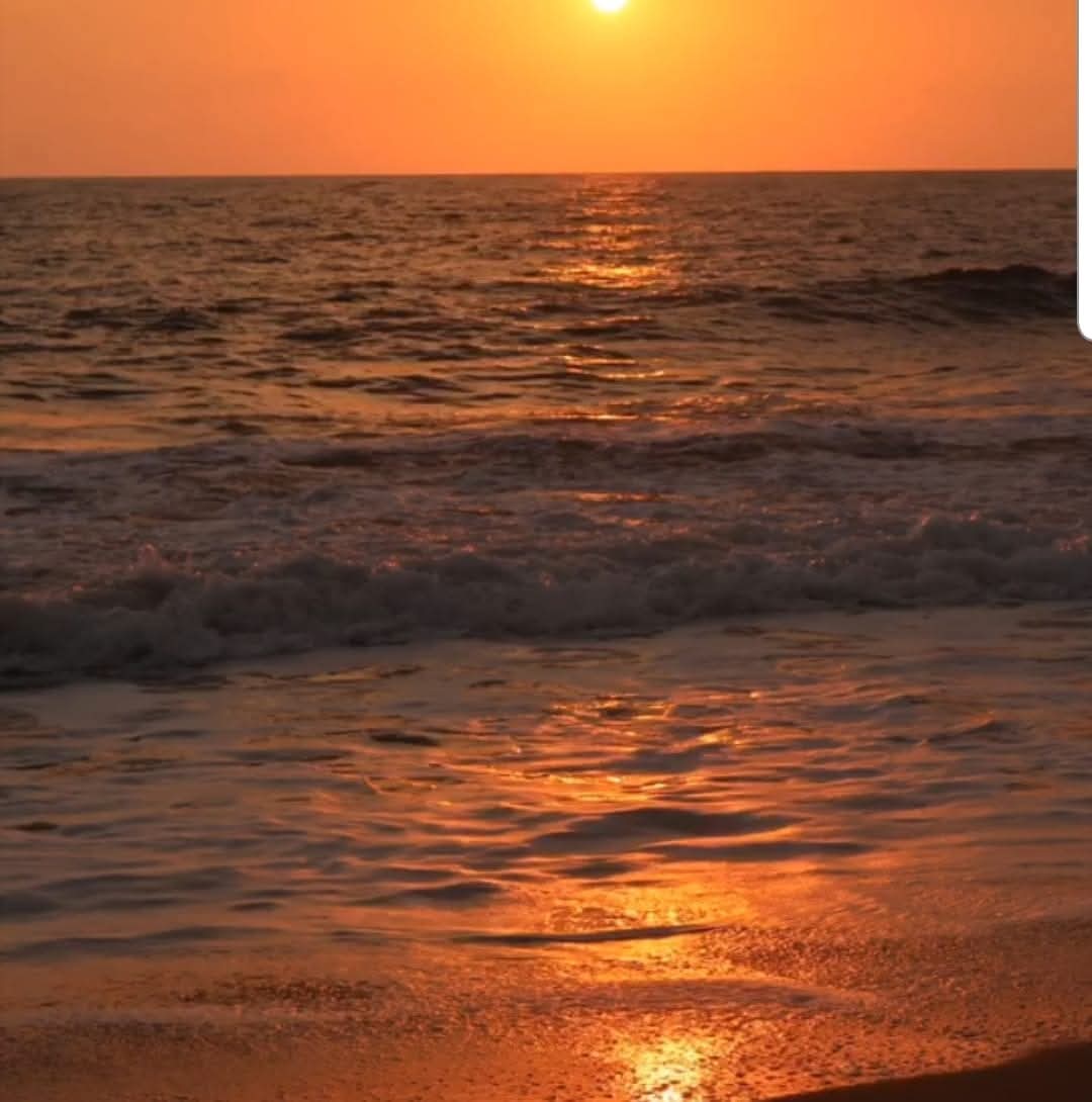 SANIBOR, společnost s ručením omezeným foto 2