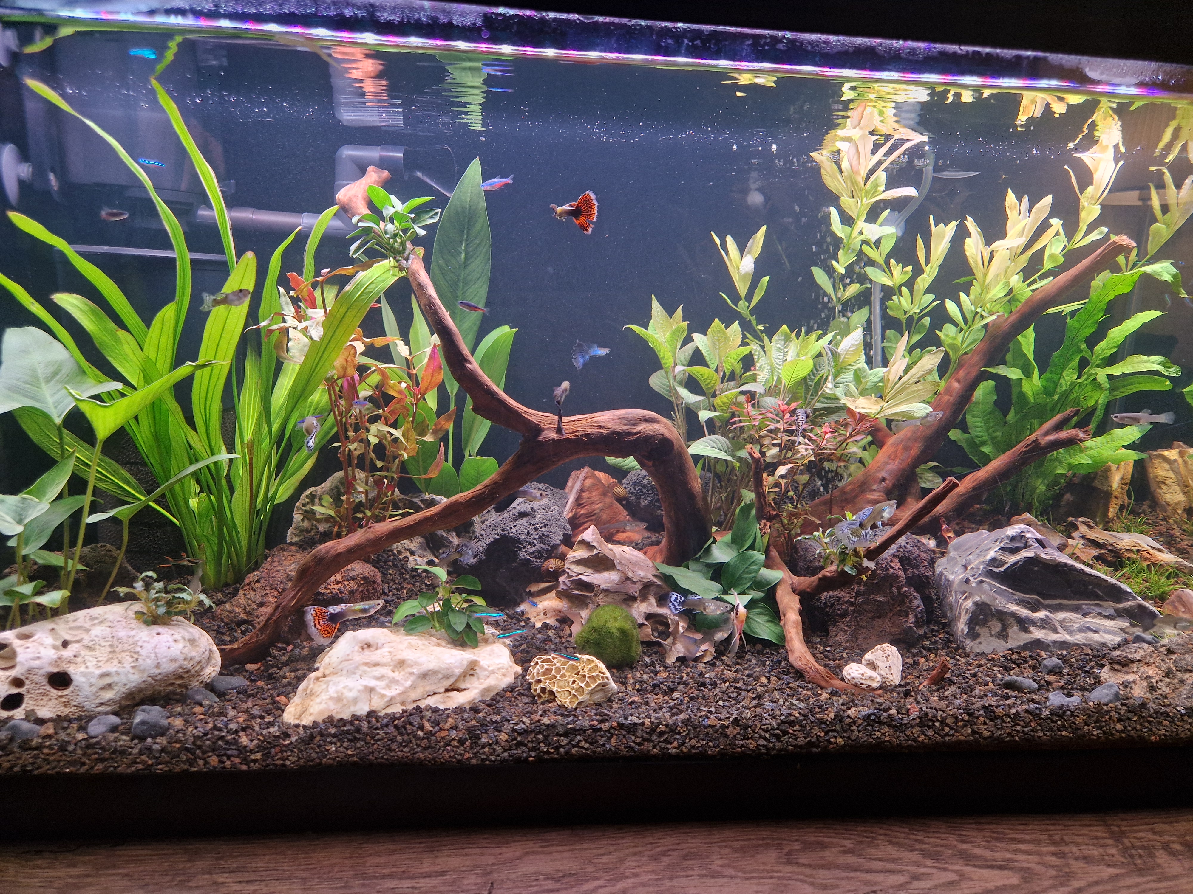 ZOO Drlíčov foto 2