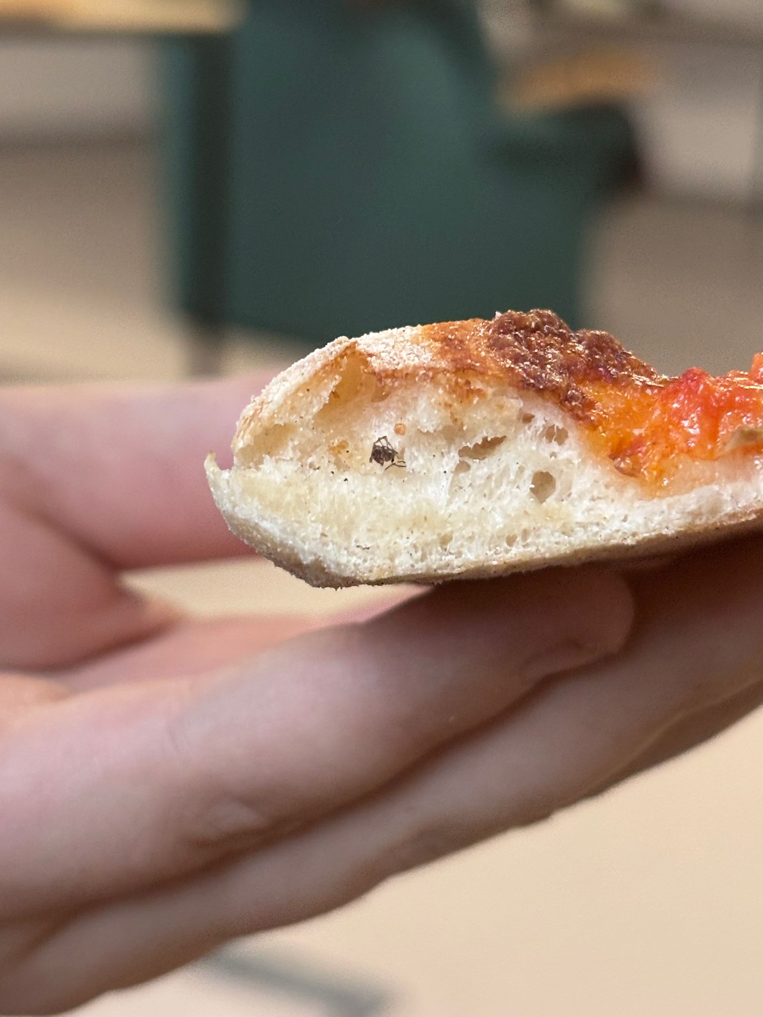 Pizza Papa Cipolla foto 2