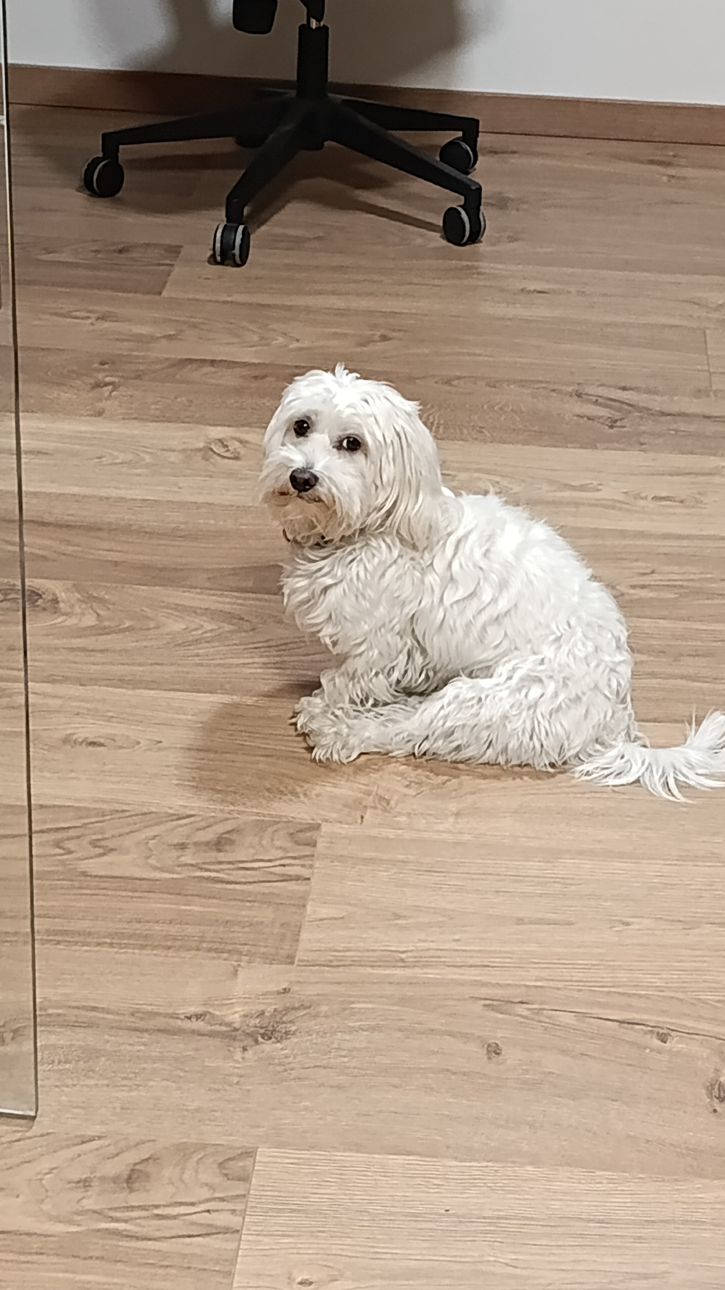 BUDvet Rožnov foto 2