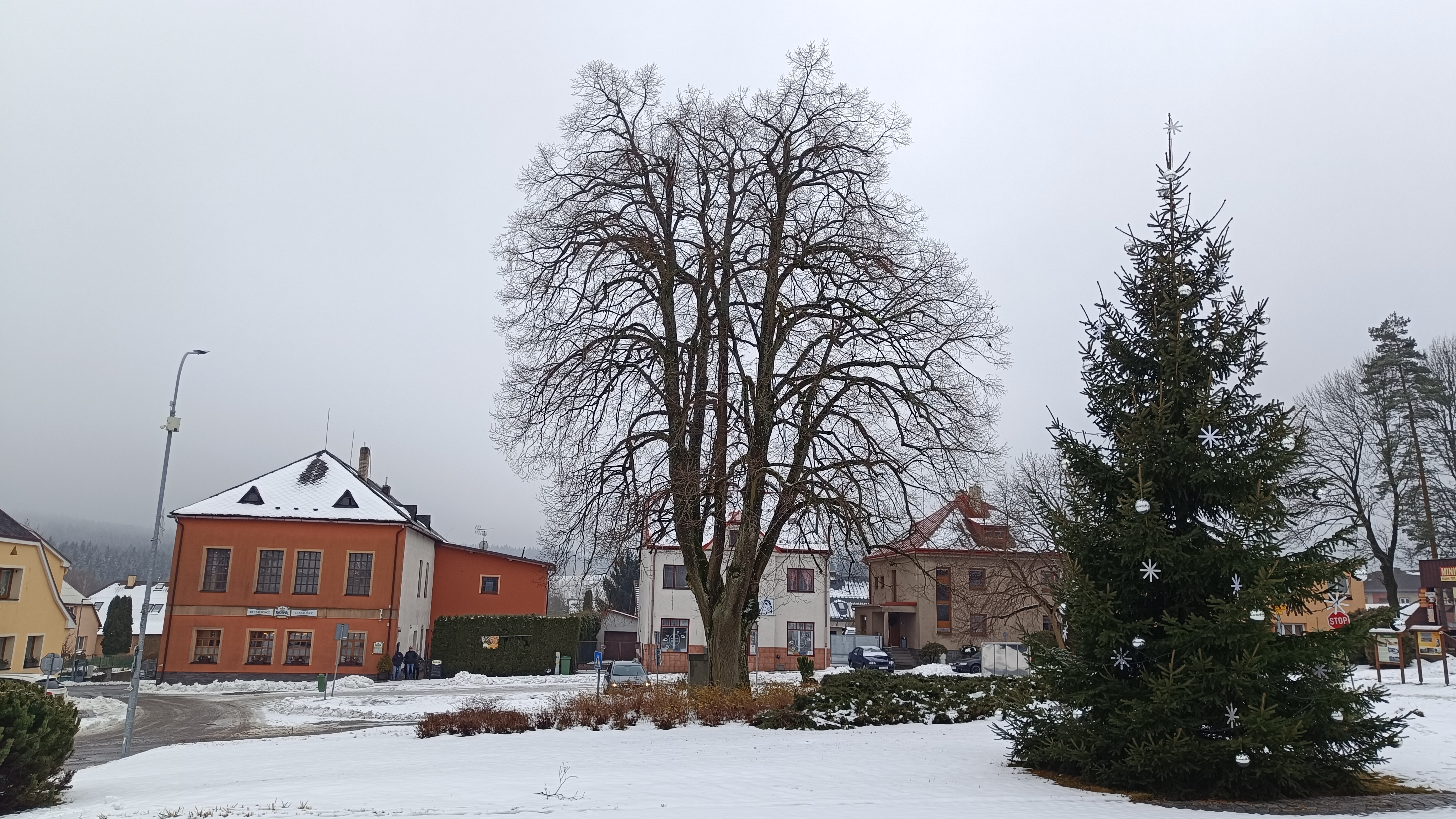 Restaurace U Berušky foto 3